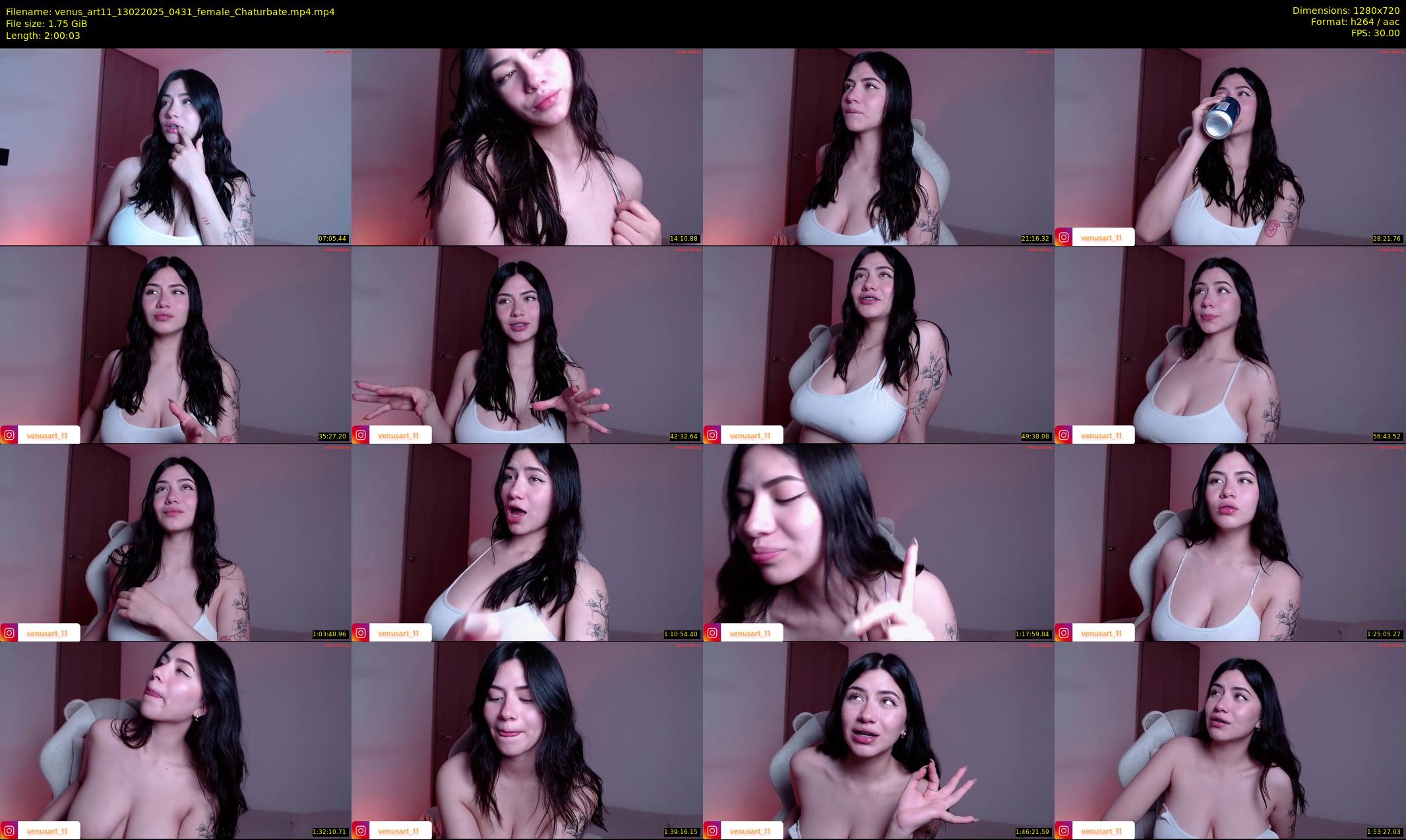 venus_art11 — 121 minute Chaturbate female cam show recording, 720p, Feb 13, 2025