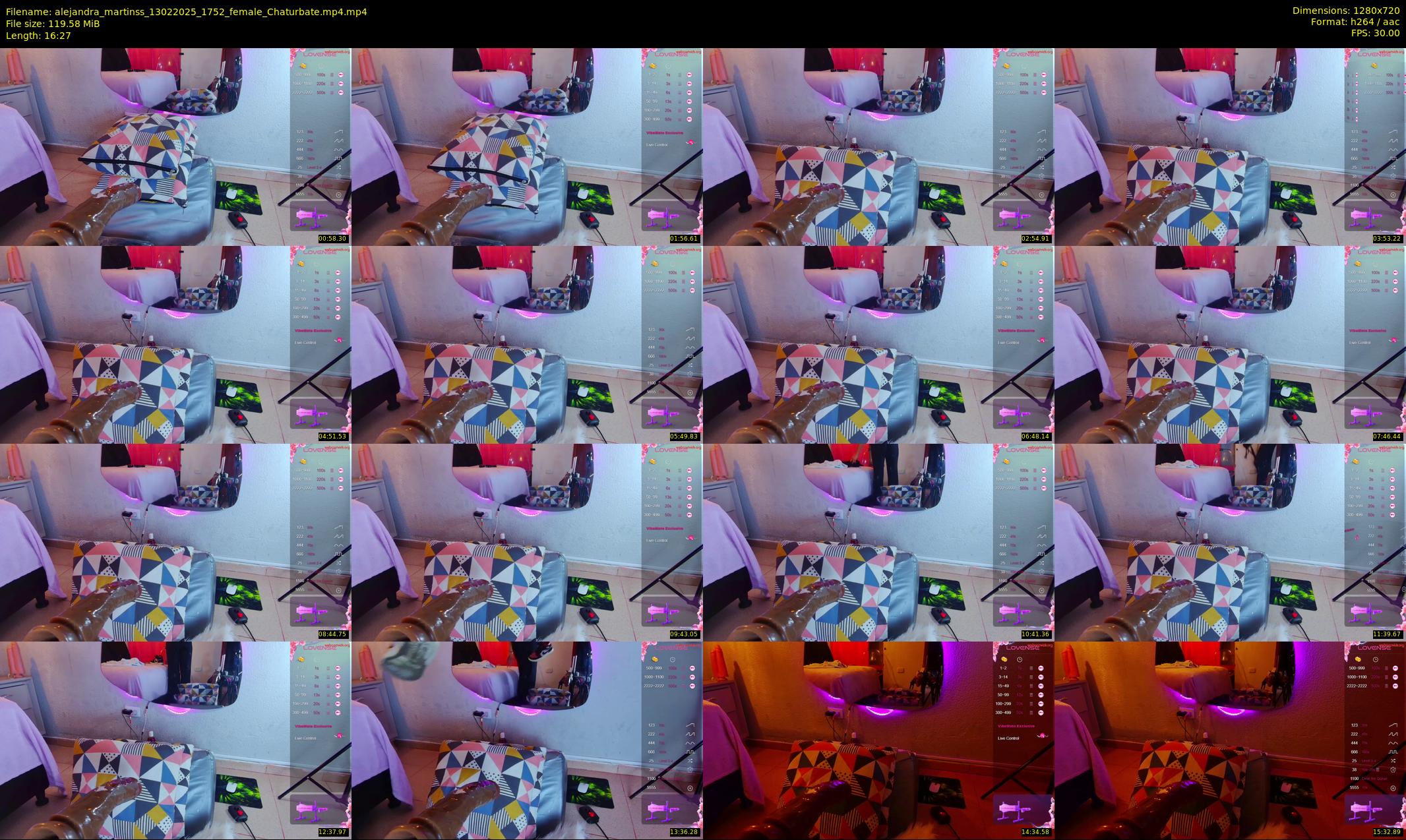 alejandra_martinss — 17 minute Chaturbate female cam show recording, 720p, Feb 13, 2025