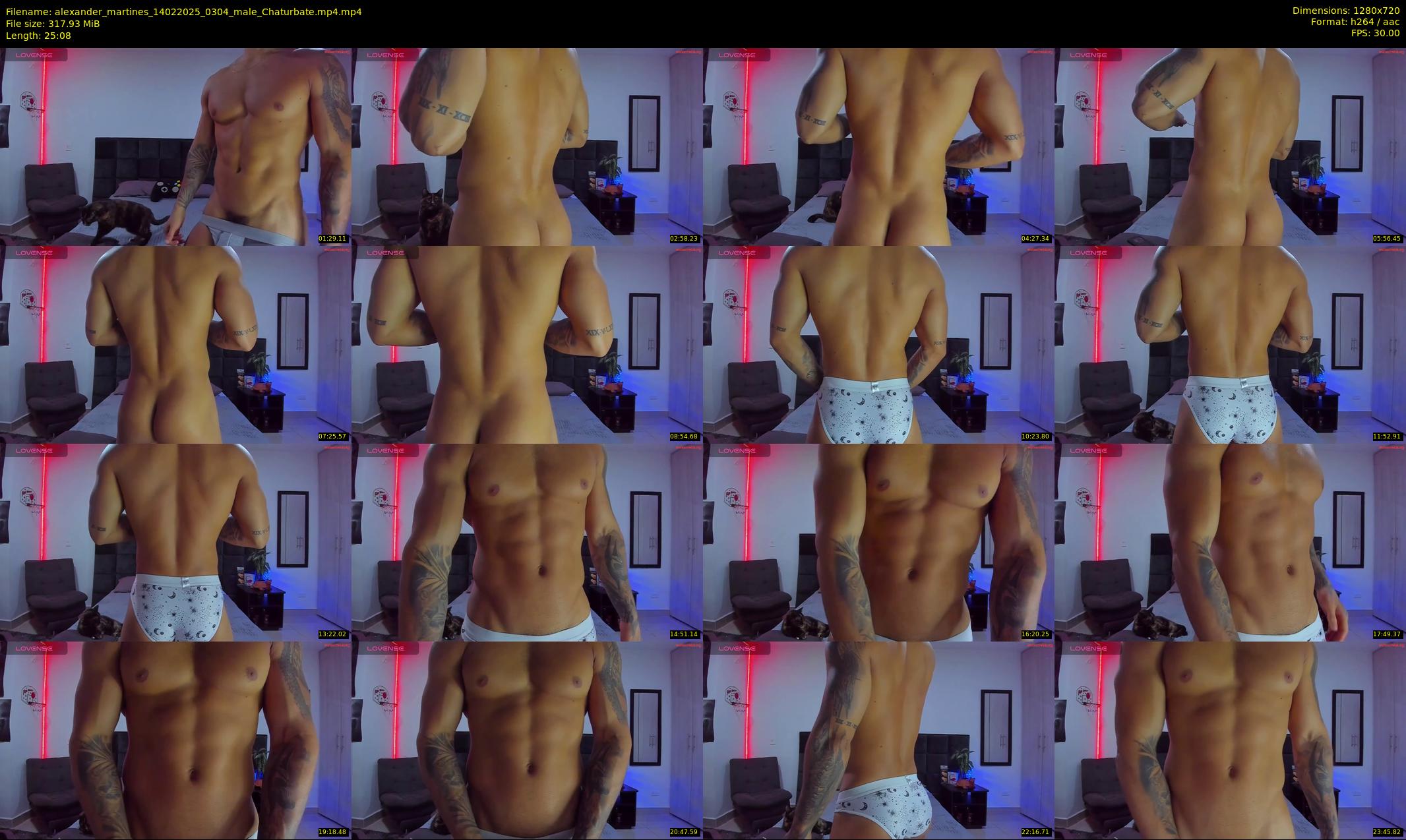 alexander_martines — 26 minute Chaturbate male cam show recording, 720p, Feb 14, 2025