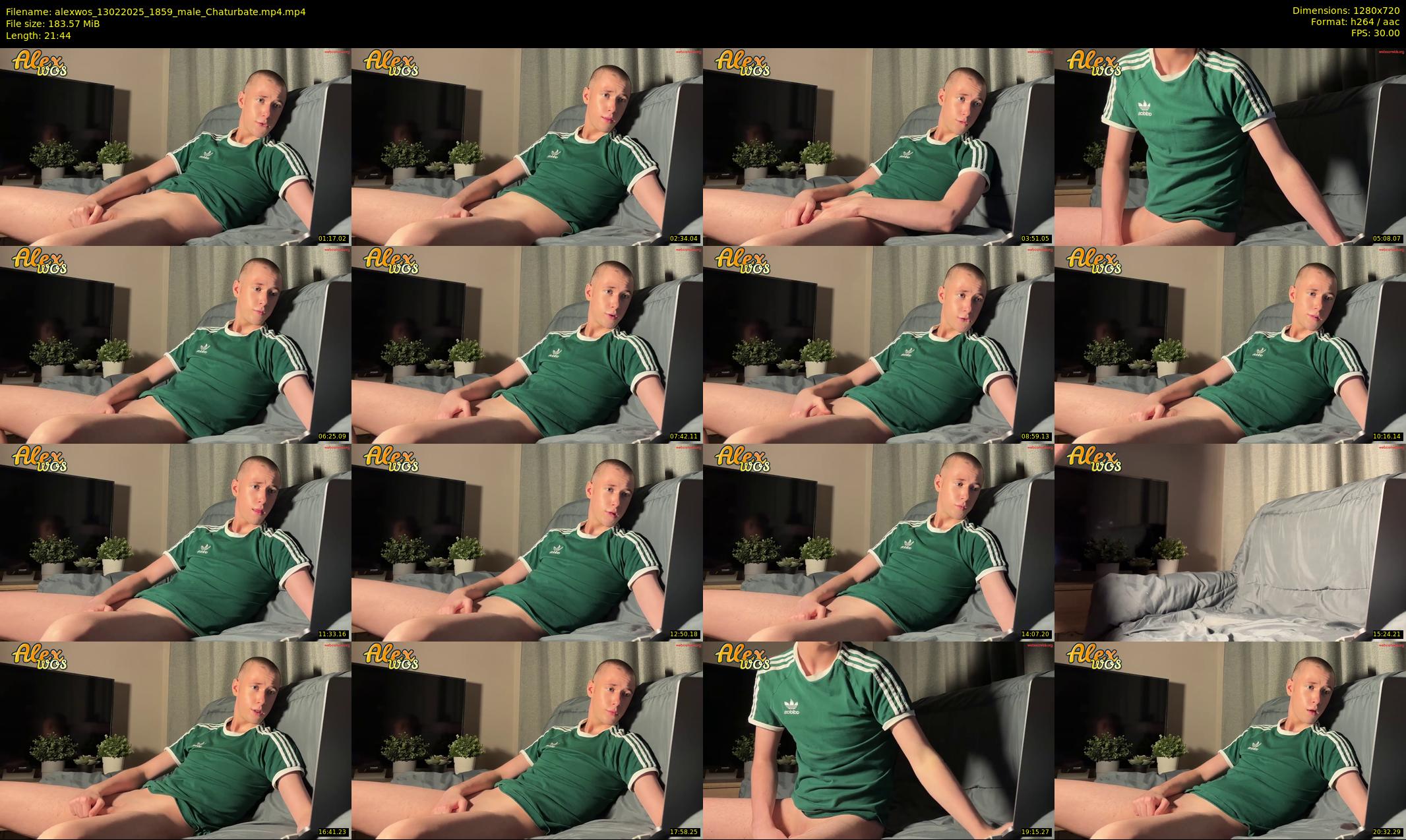 alexwos — 22 minute Chaturbate male cam show recording, 720p, Feb 13, 2025