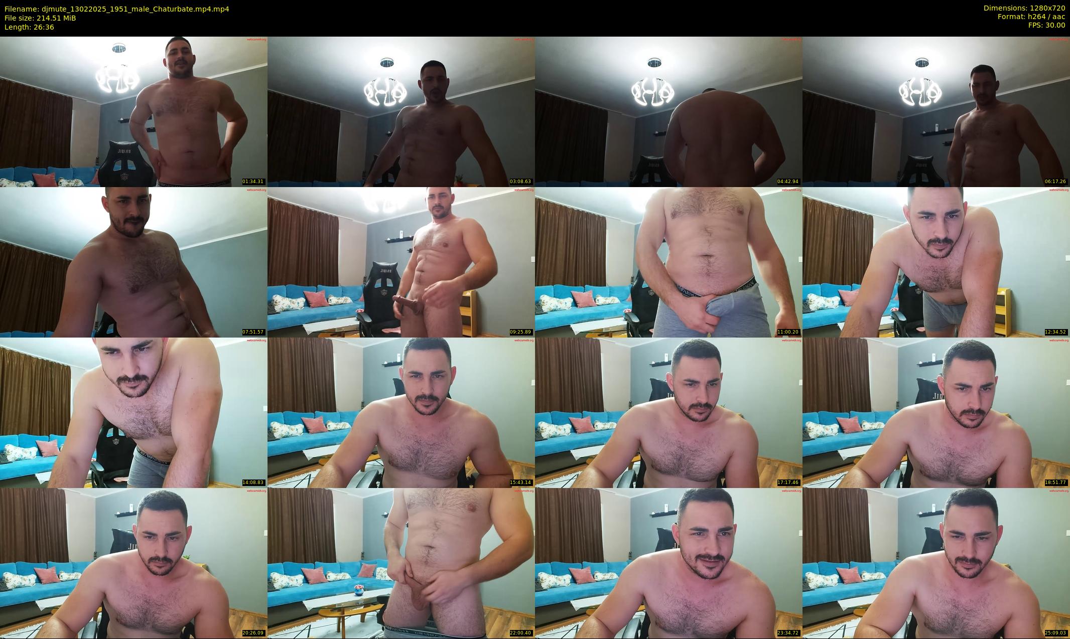 djmute — 27 minute Chaturbate male cam show recording, 720p, Feb 13, 2025