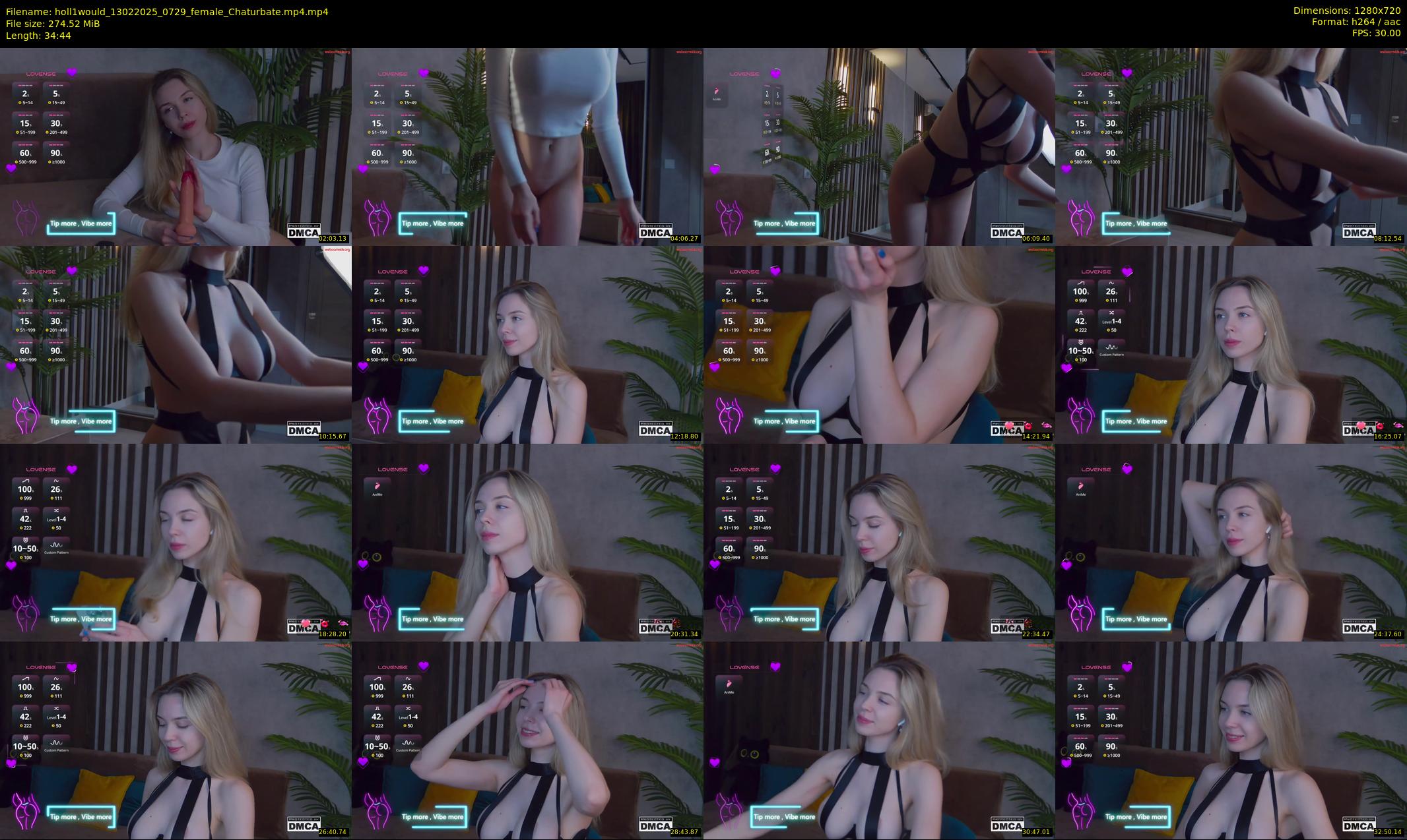 holl1would — 35 minute Chaturbate female cam show recording, 720p, Feb 13, 2025