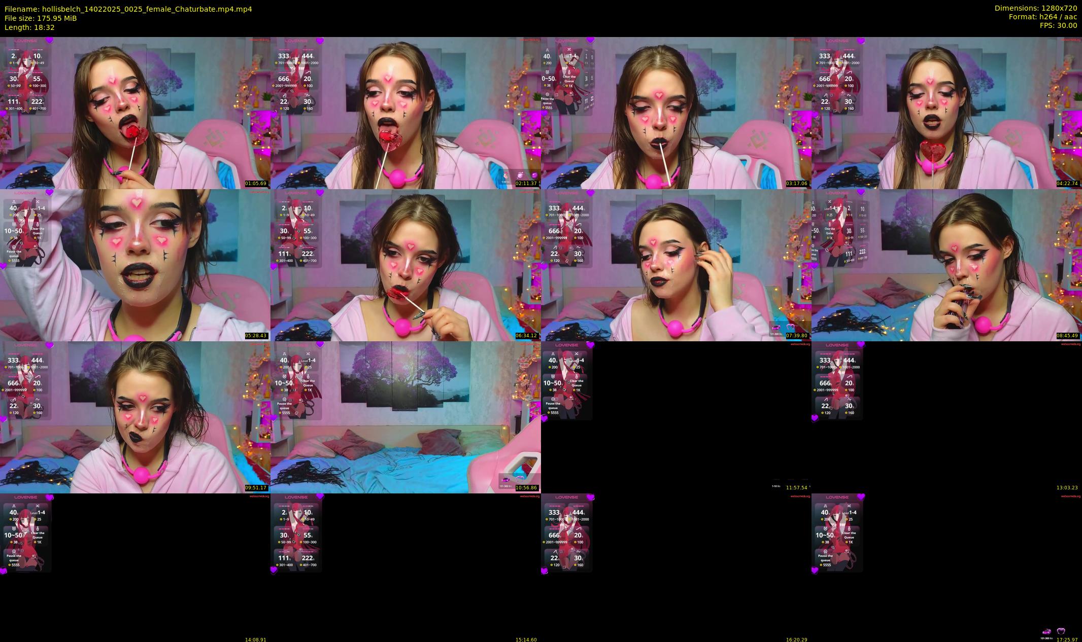 hollisbelch — 19 minute Chaturbate female cam show recording, 720p, Feb 14, 2025