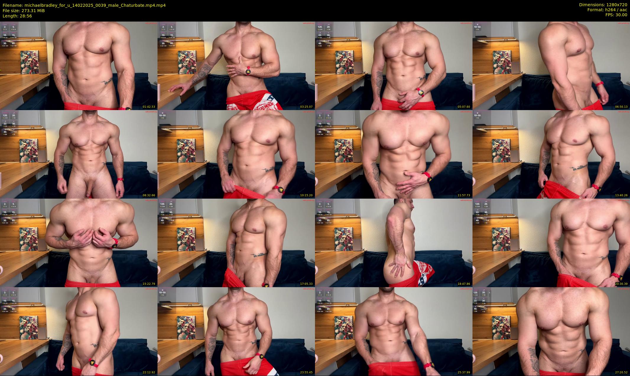 michaelbradley_for_u — 29 minute Chaturbate male cam show recording, 720p, Feb 14, 2025
