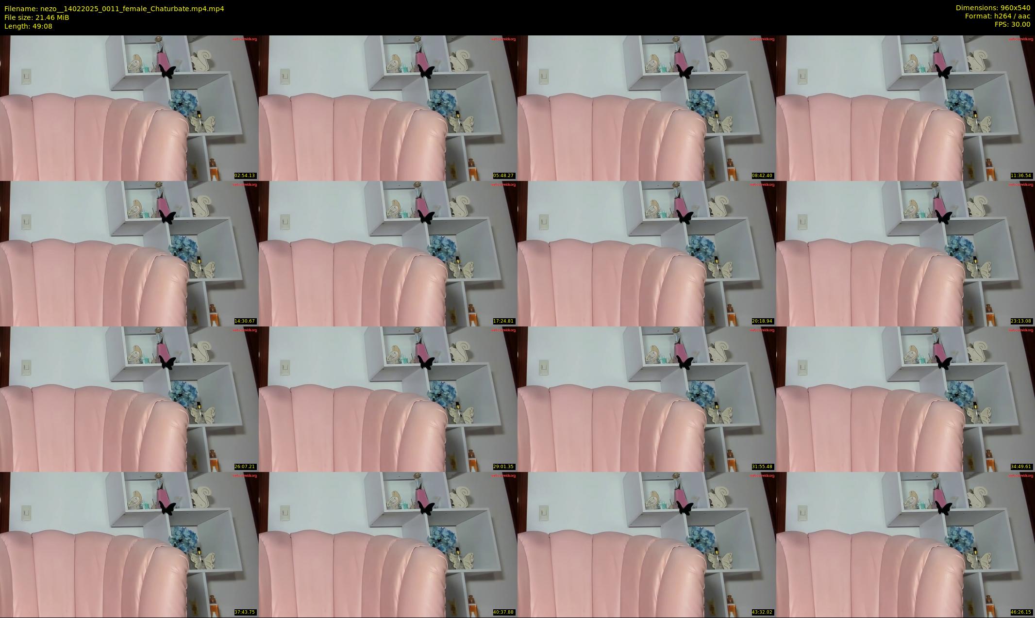 nezo_ — 50 minute Chaturbate female cam show recording, 480p, Feb 14, 2025