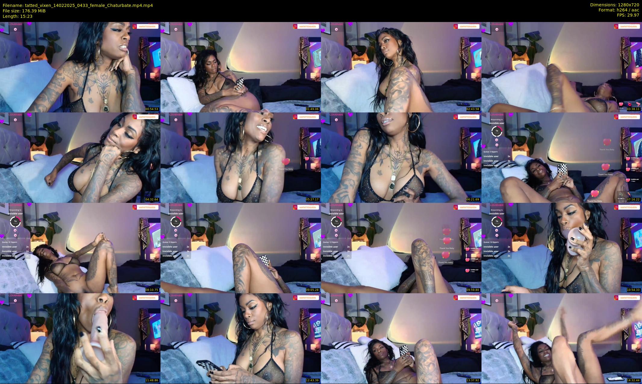 tatted_vixen — 16 minute Chaturbate female cam show recording, 720p, Feb 14, 2025