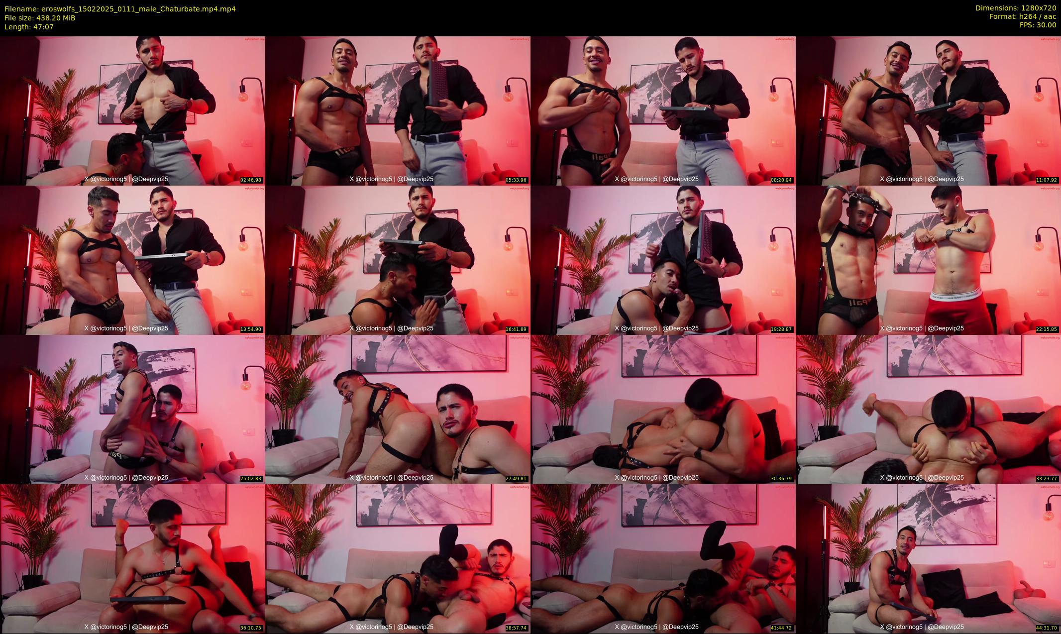 eroswolfs — 48 minute Chaturbate male cam show recording, 720p, Feb 15, 2025