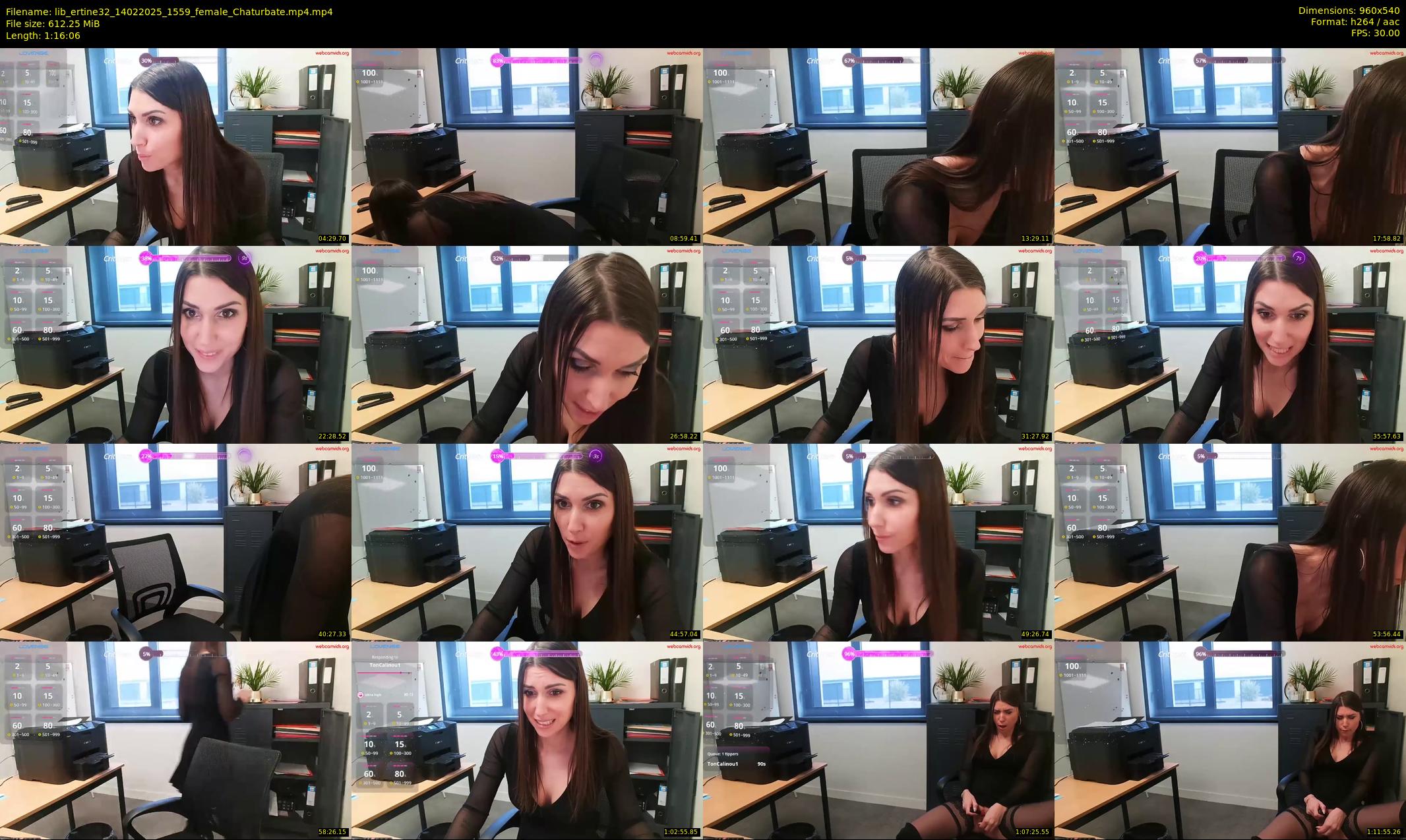 lib_ertine32 — 77 minute Chaturbate female cam show recording, 480p, Feb 14, 2025