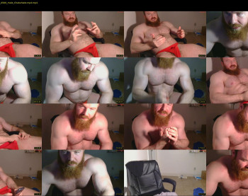 pec_inspector — 28 minute Chaturbate male cam show recording, 720p, Feb 15, 2025