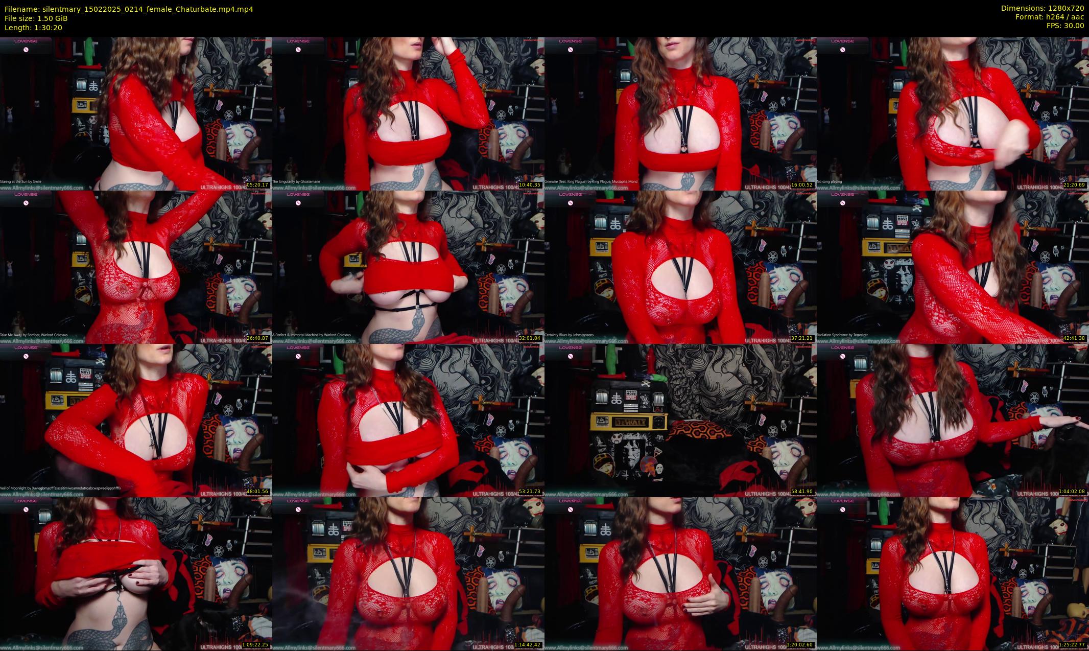 silentmary — 91 minute Chaturbate female cam show recording, 720p, Feb 15, 2025