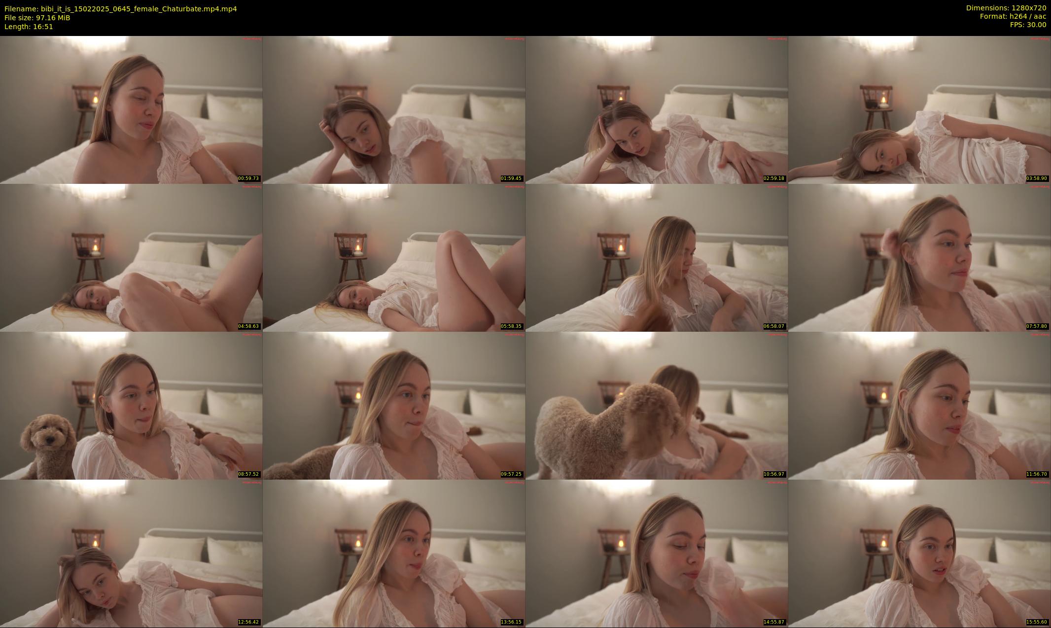 bibi_it_is — 17 minute Chaturbate female cam show recording, 720p, Feb 15, 2025