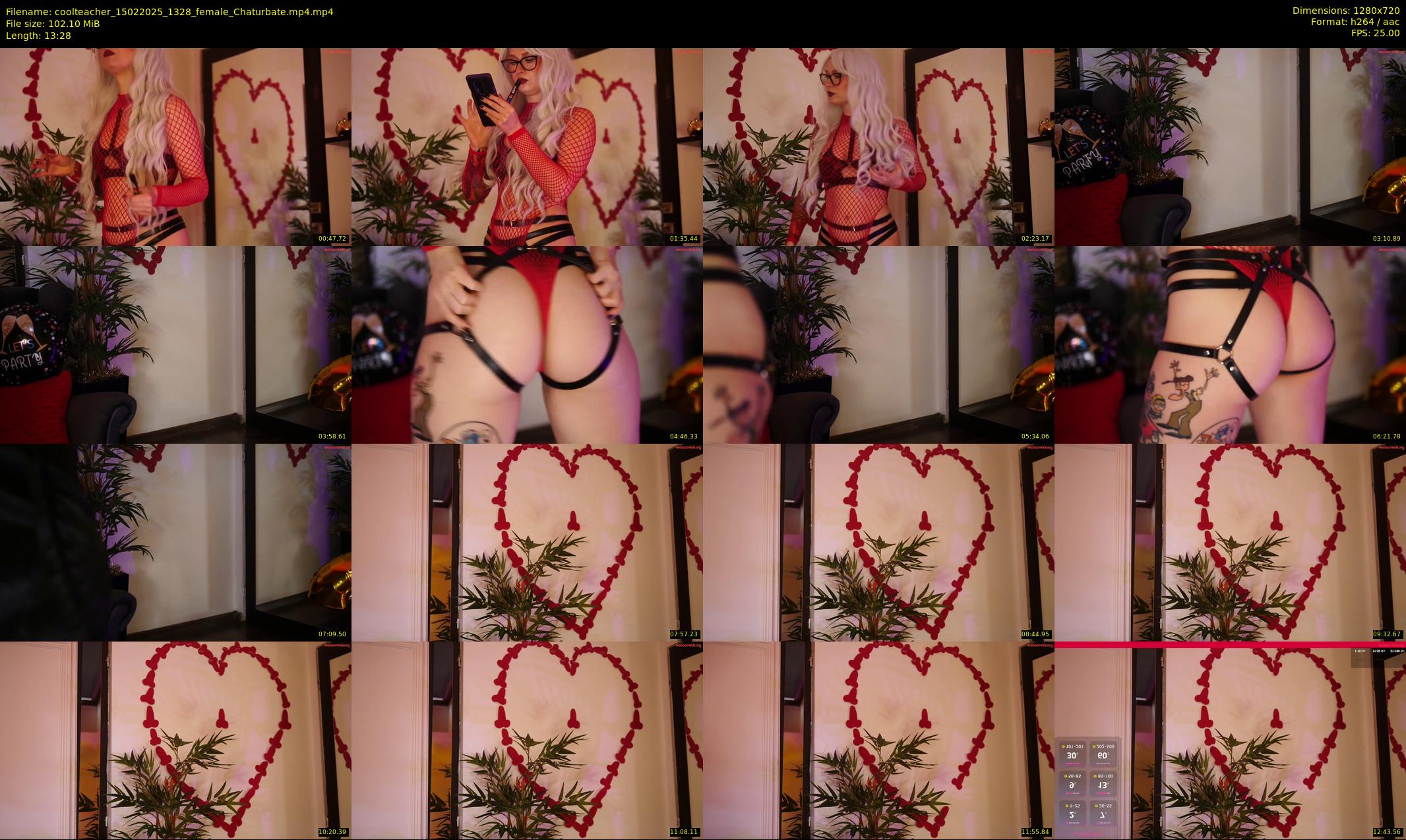 coolteacher — 14 minute Chaturbate female cam show recording, 720p, Feb 15, 2025