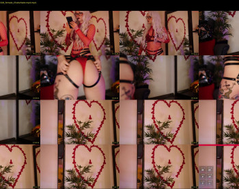 coolteacher — 14 minute Chaturbate female cam show recording, 720p, Feb 15, 2025