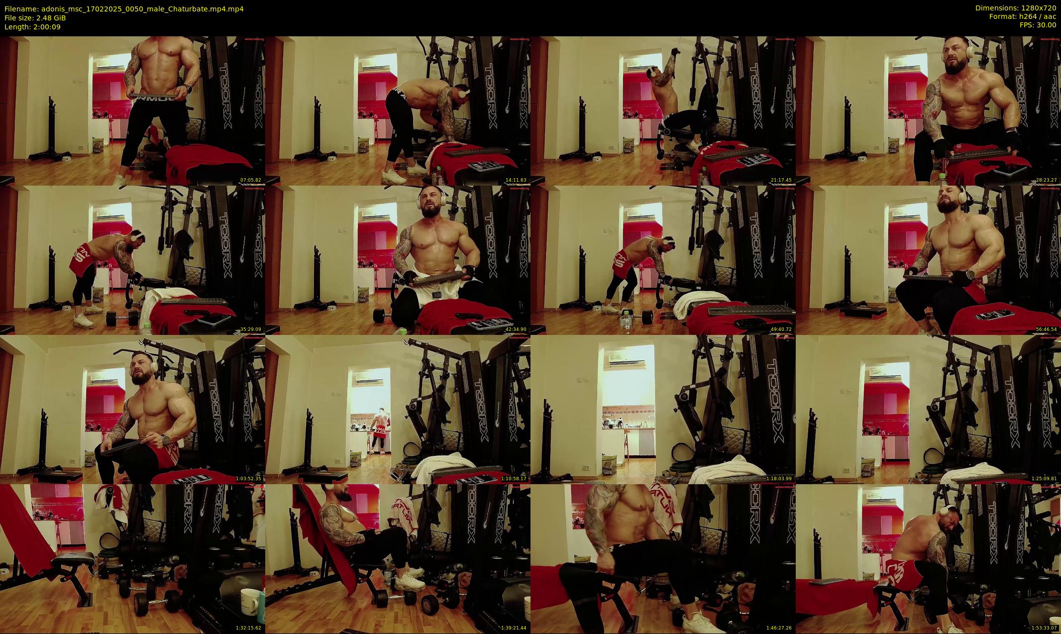 adonis_msc — 121 minute Chaturbate male cam show recording, 720p, Feb 17, 2025