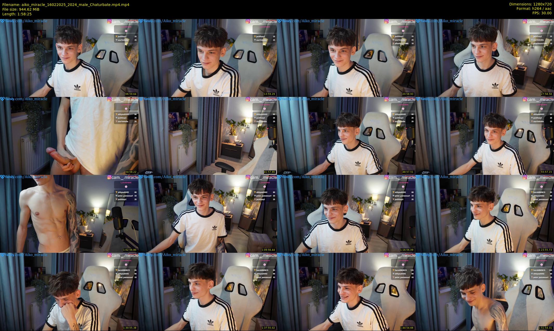aiko_miracle — 119 minute Chaturbate male cam show recording, 720p, Feb 16, 2025