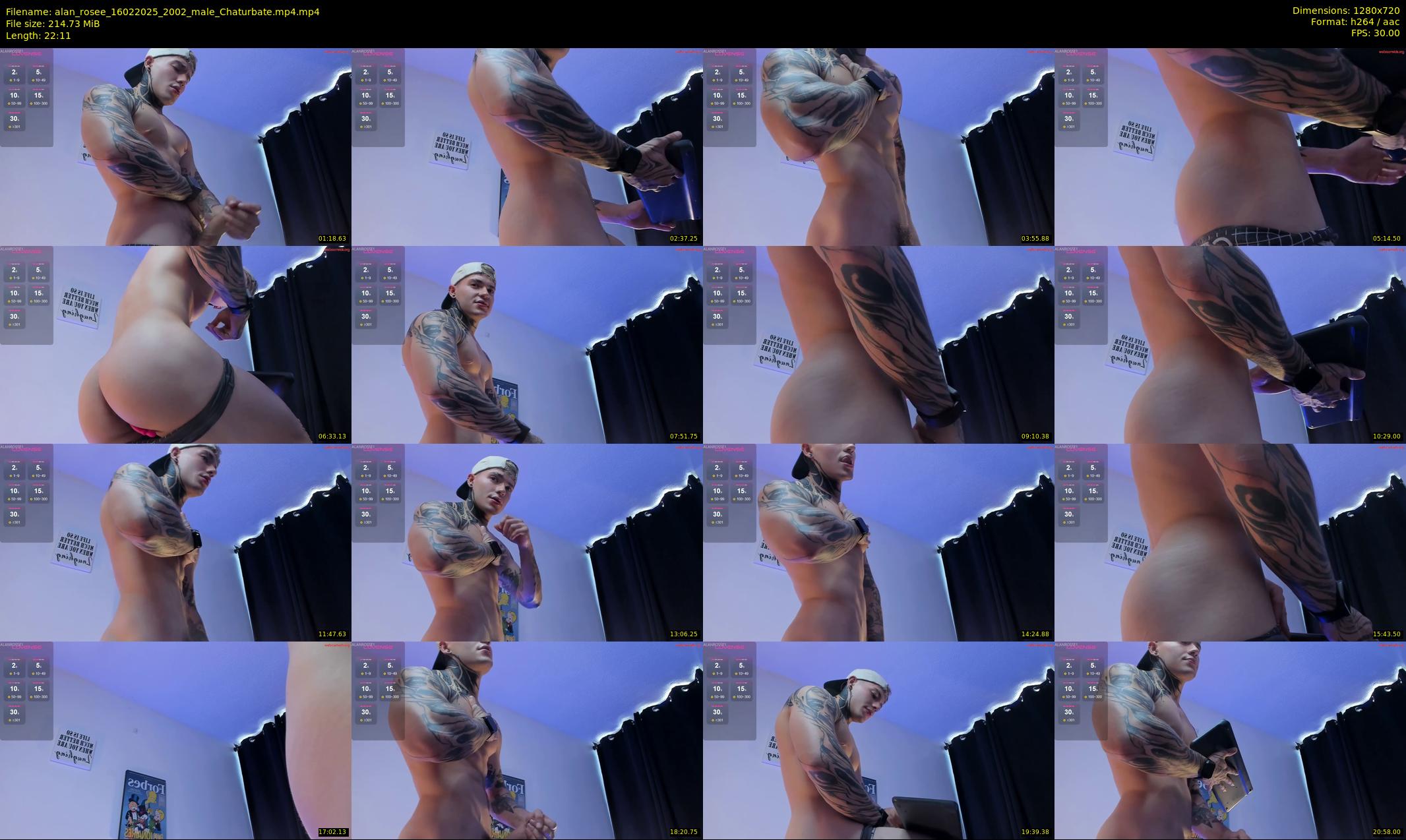 alan_rosee — 23 minute Chaturbate male cam show recording, 720p, Feb 16, 2025