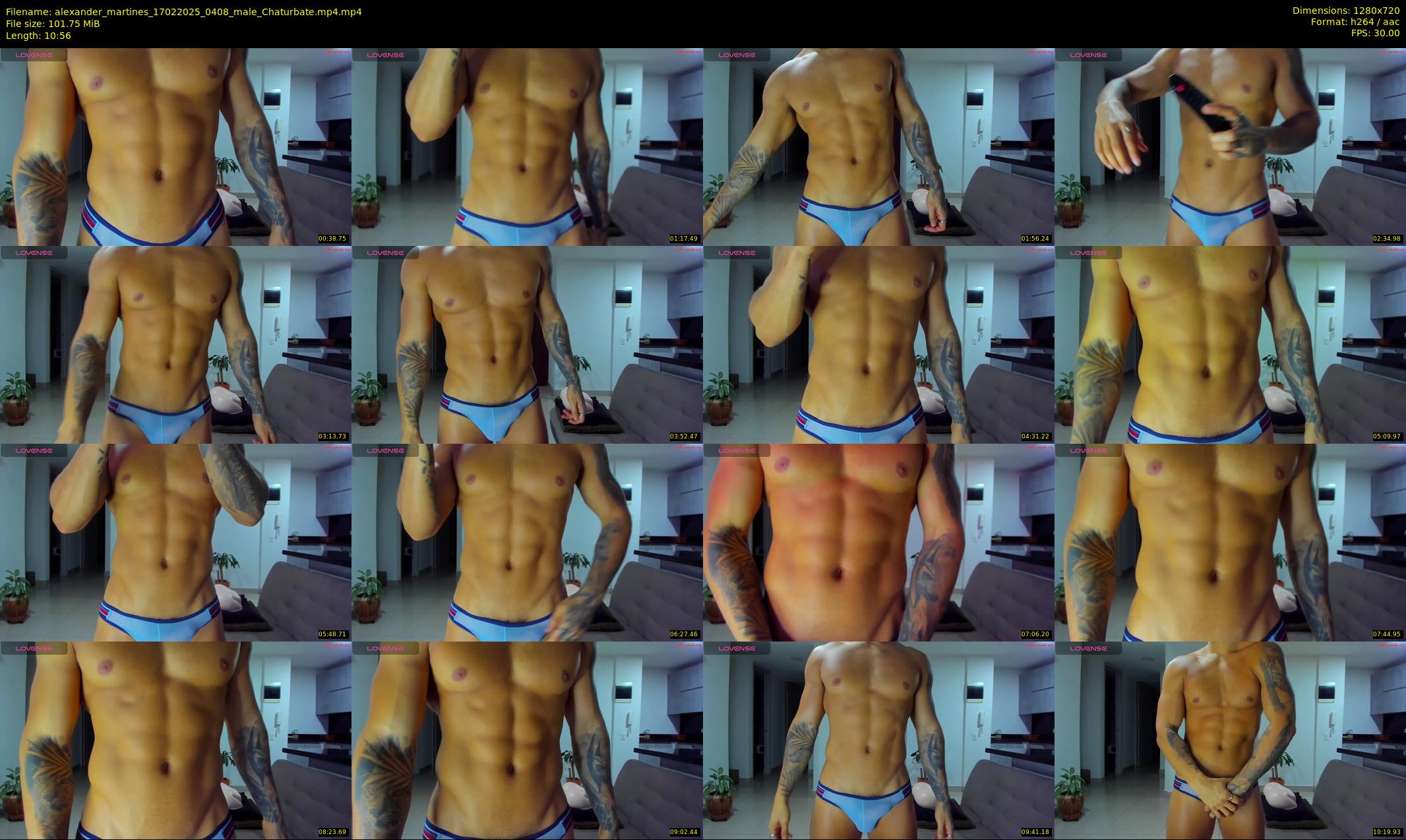 alexander_martines — 11 minute Chaturbate male cam show recording, 720p, Feb 17, 2025