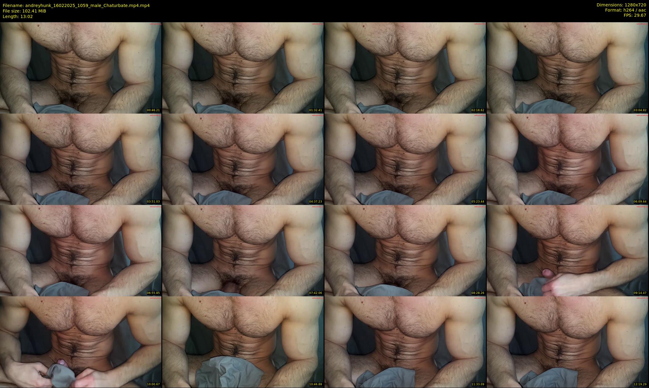 andreyhunk — 14 minute Chaturbate male cam show recording, 720p, Feb 16, 2025