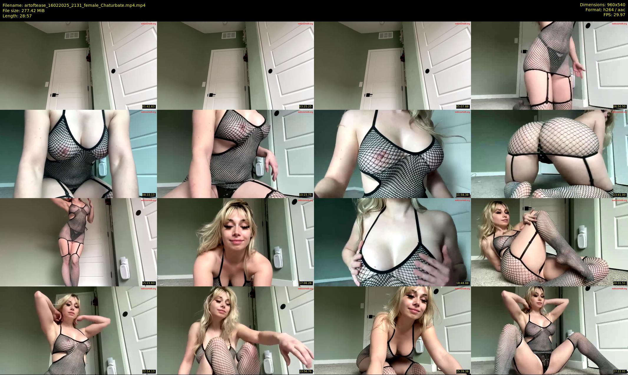 artoftease — 29 minute Chaturbate female cam show recording, 480p, Feb 16, 2025