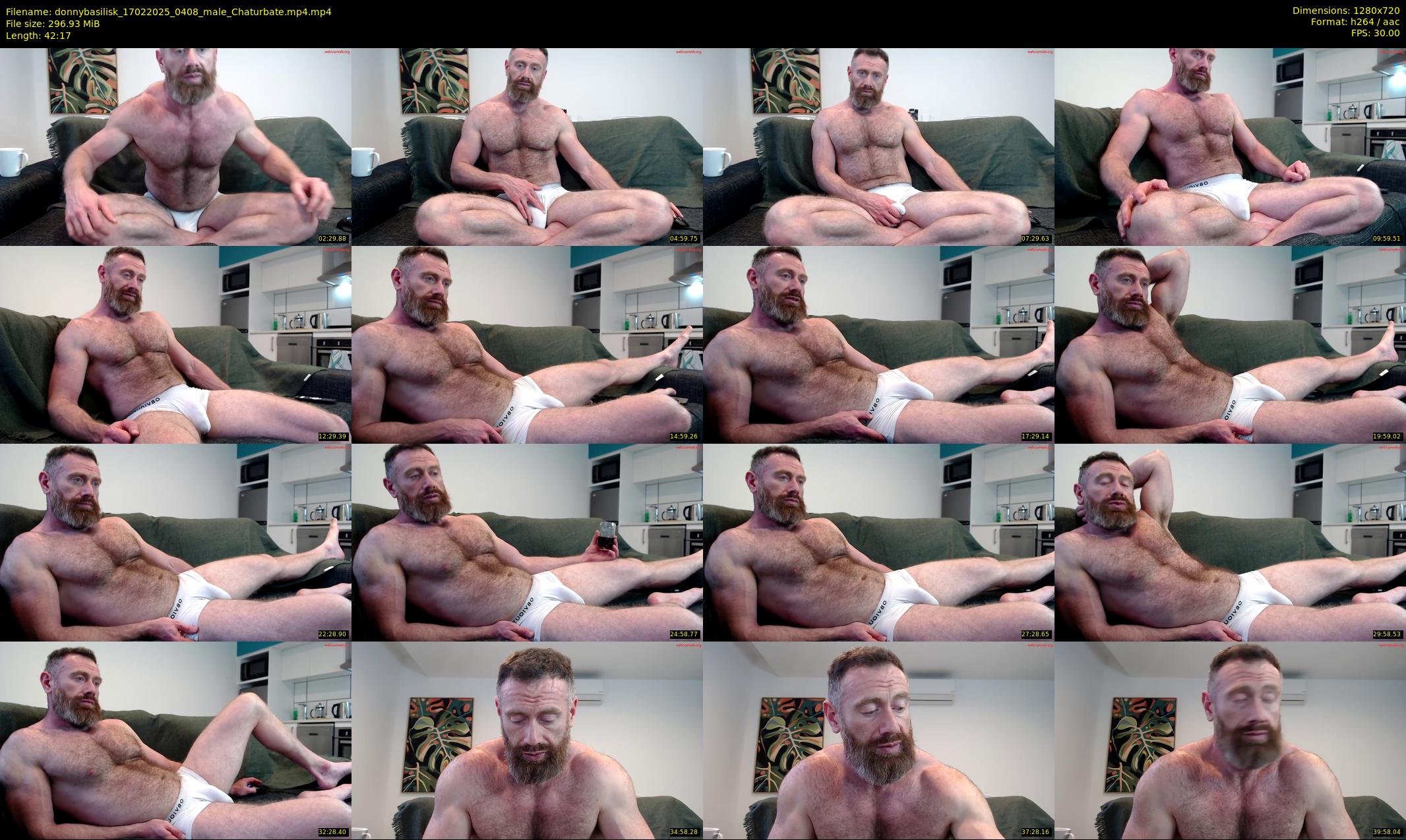 donnybasilisk — 43 minute Chaturbate male cam show recording, 720p, Feb 17, 2025