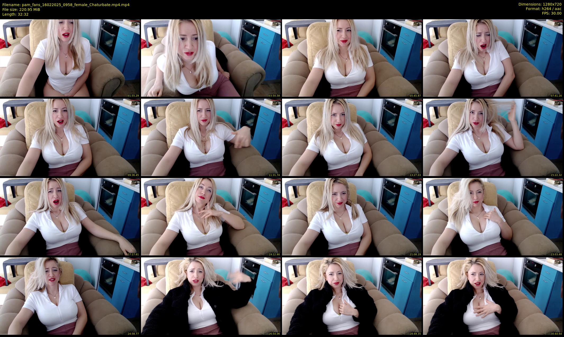 pam_fans — 33 minute Chaturbate female cam show recording, 720p, Feb 16, 2025