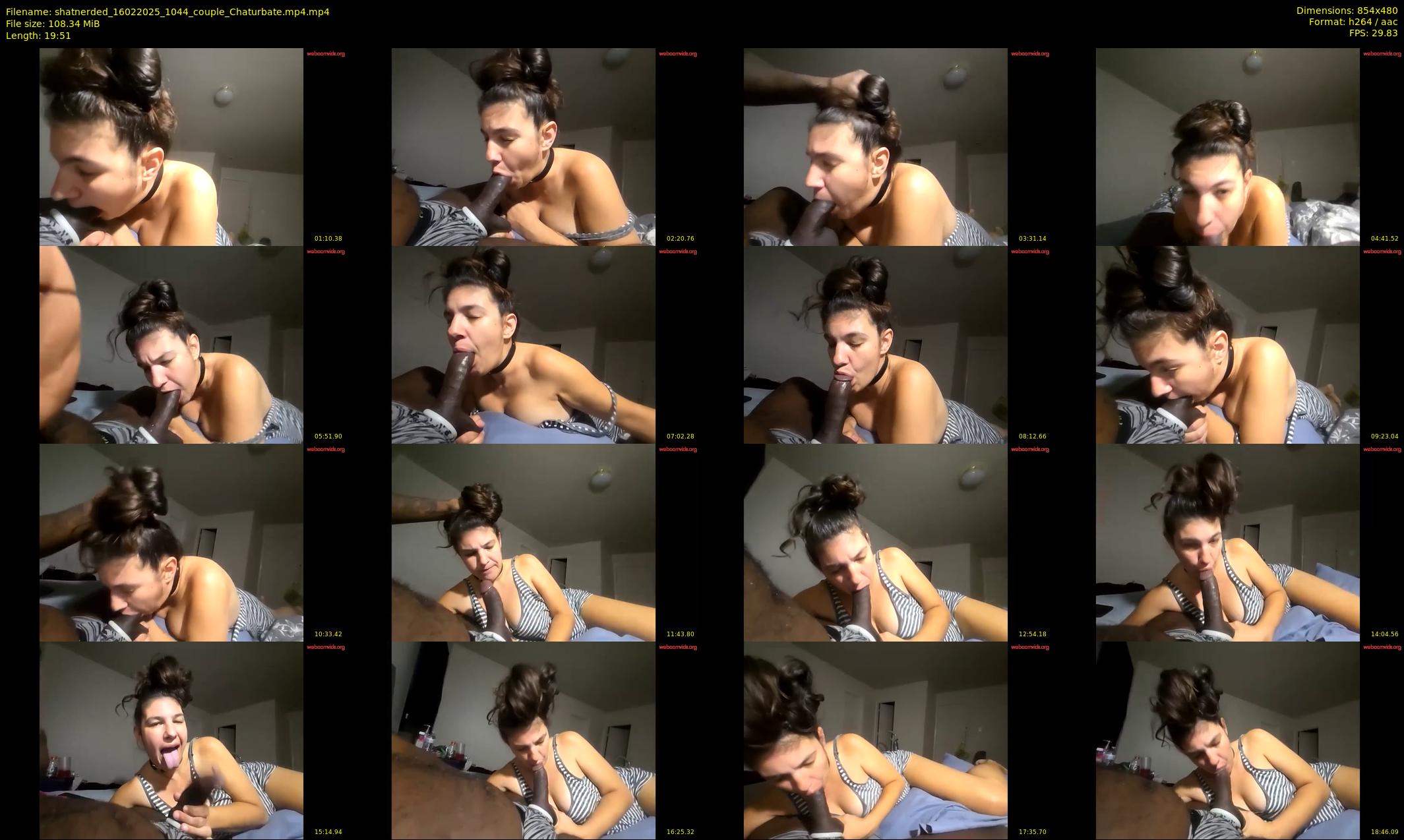 shatnerded — 20 minute Chaturbate couple cam show recording, 480p, Feb 16, 2025