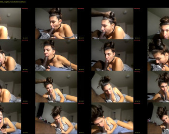 shatnerded — 20 minute Chaturbate couple cam show recording, 480p, Feb 16, 2025