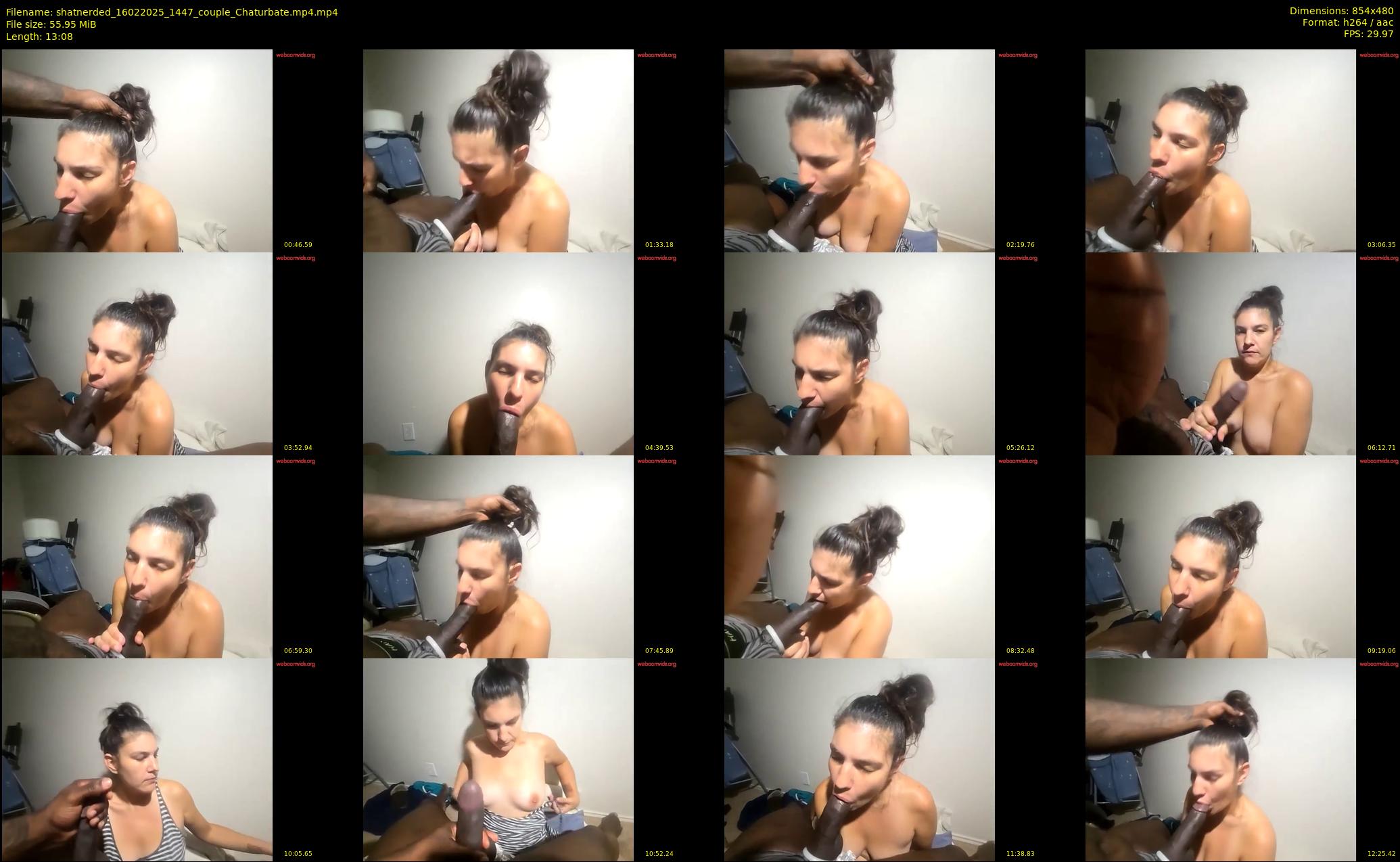 shatnerded — 14 minute Chaturbate couple cam show recording, 480p, Feb 16, 2025