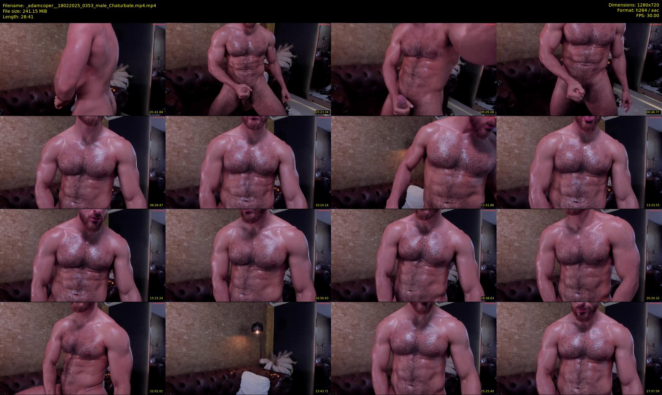 _adamcoper_ — 29 minute Chaturbate male cam show recording, 720p, Feb 18, 2025