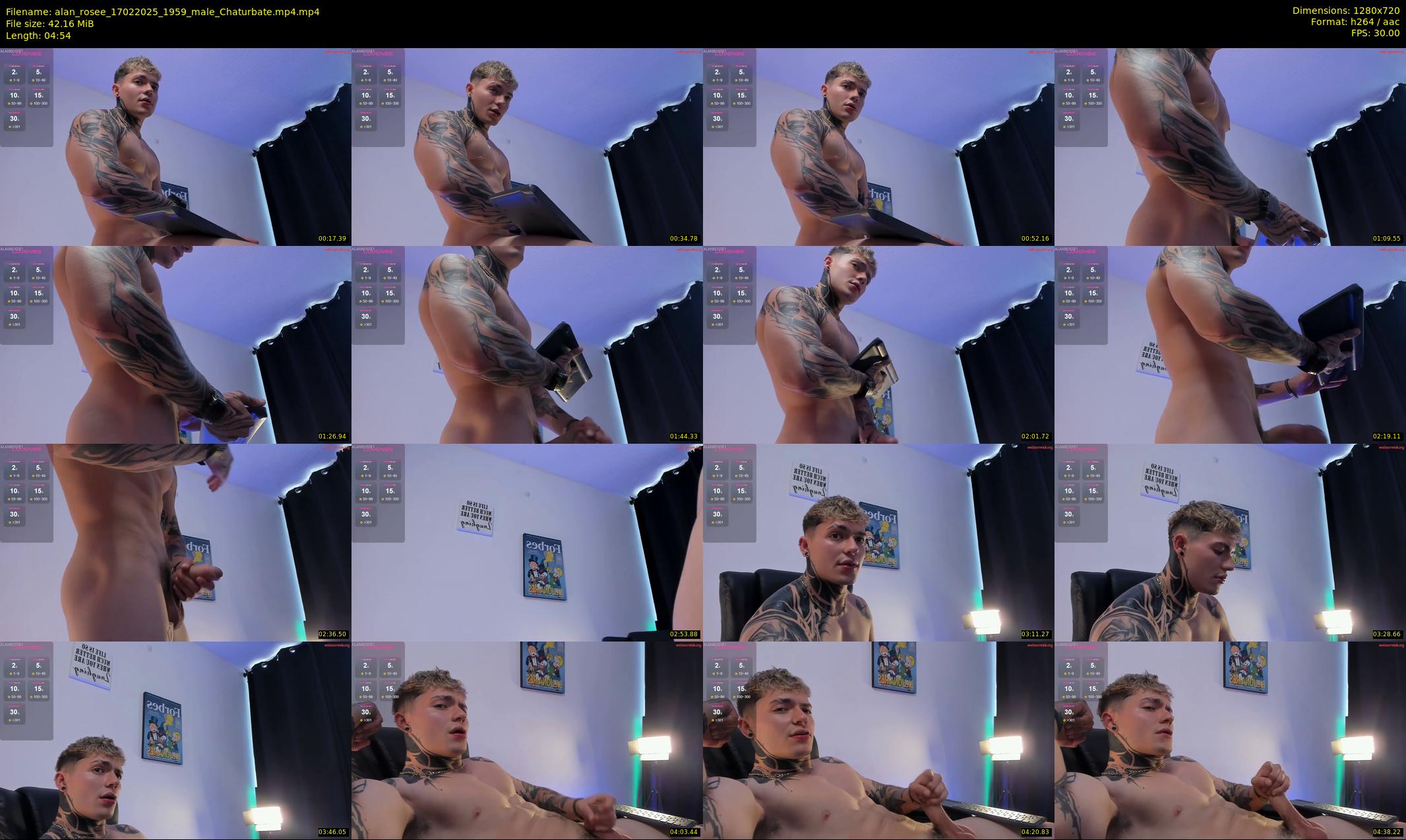 alan_rosee — 5 minute Chaturbate male cam show recording, 720p, Feb 17, 2025