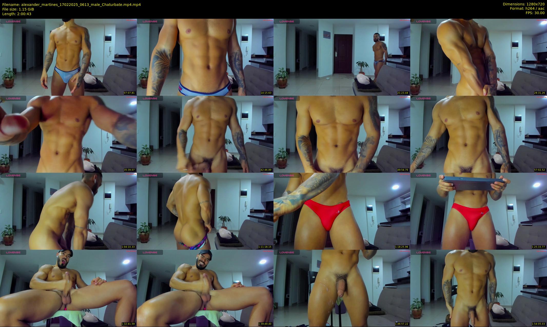 alexander_martines — 121 minute Chaturbate male cam show recording, 720p, Feb 17, 2025