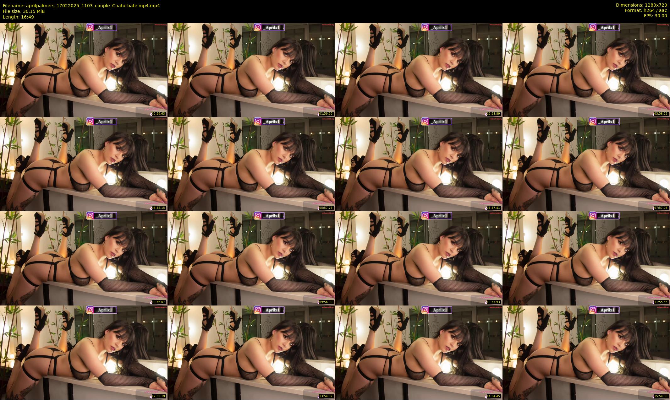 aprilpalmers — 17 minute Chaturbate female cam show recording, 720p, Feb 17, 2025