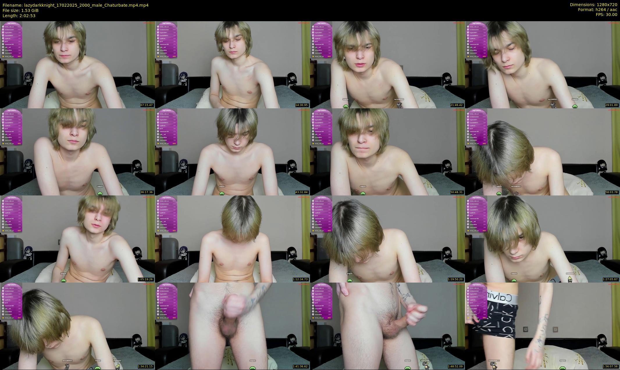 lazydarkknight — 123 minute Chaturbate male cam show recording, 720p, Feb 17, 2025