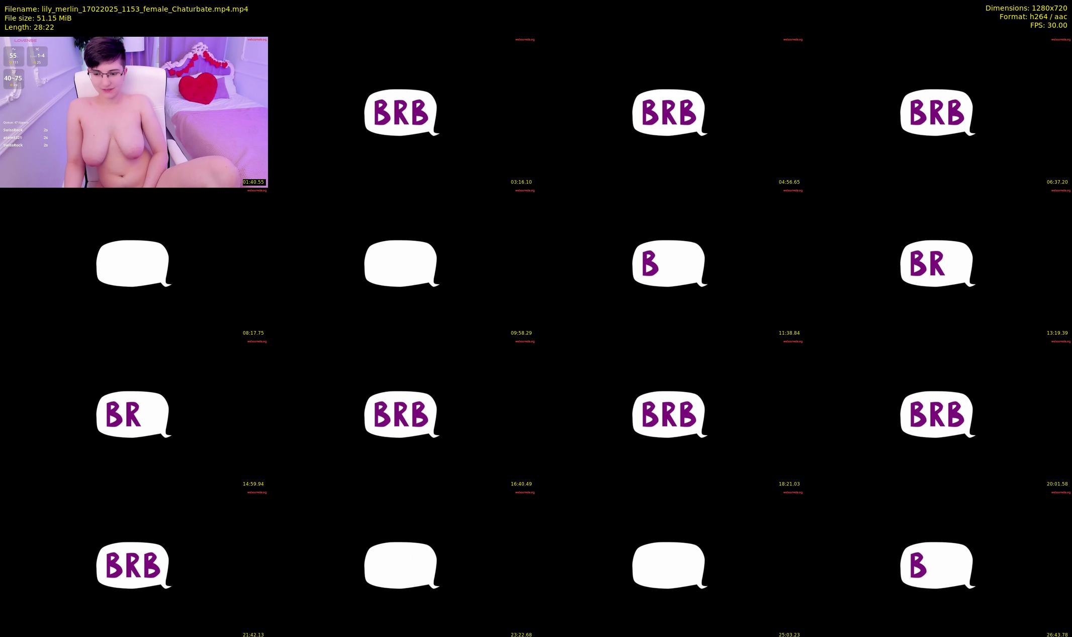 lily_merlin — 29 minute Chaturbate female cam show recording, 720p, Feb 17, 2025