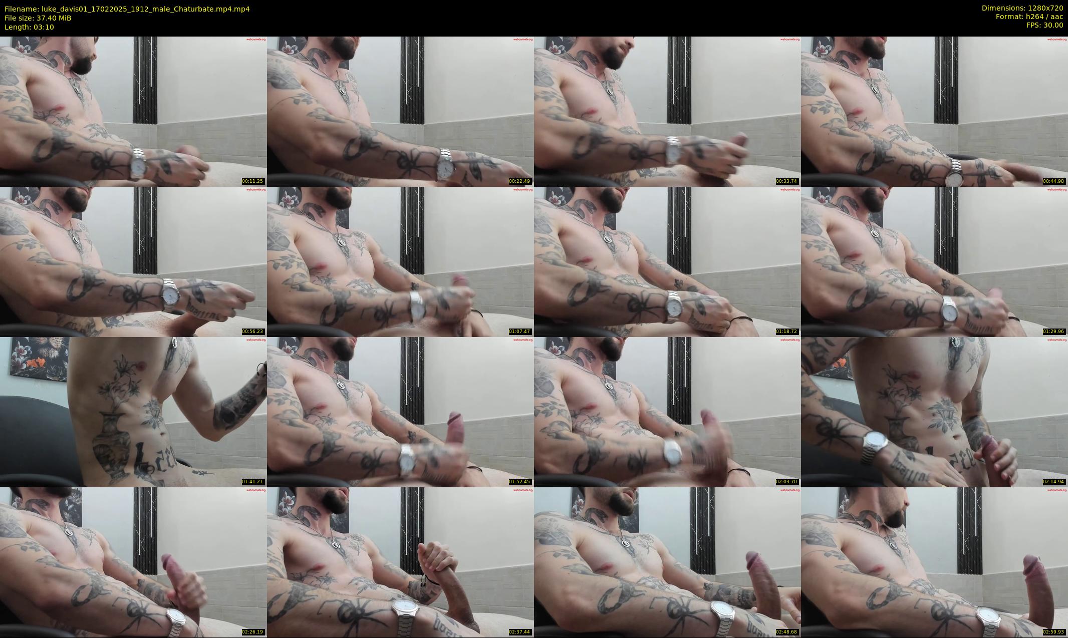 luke_davis01 — 4 minute Chaturbate male cam show recording, 720p, Feb 17, 2025