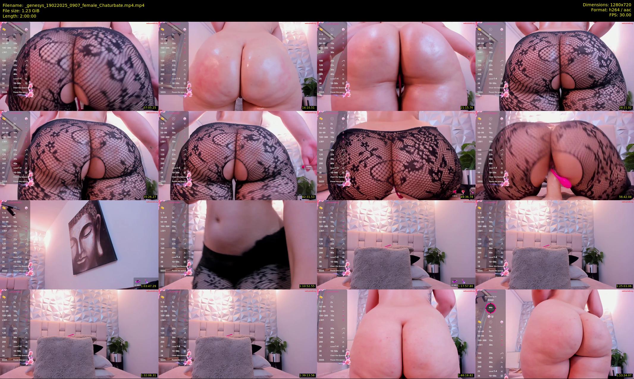 _genesys — 120 minute Chaturbate female cam show recording, 720p, Feb 19, 2025
