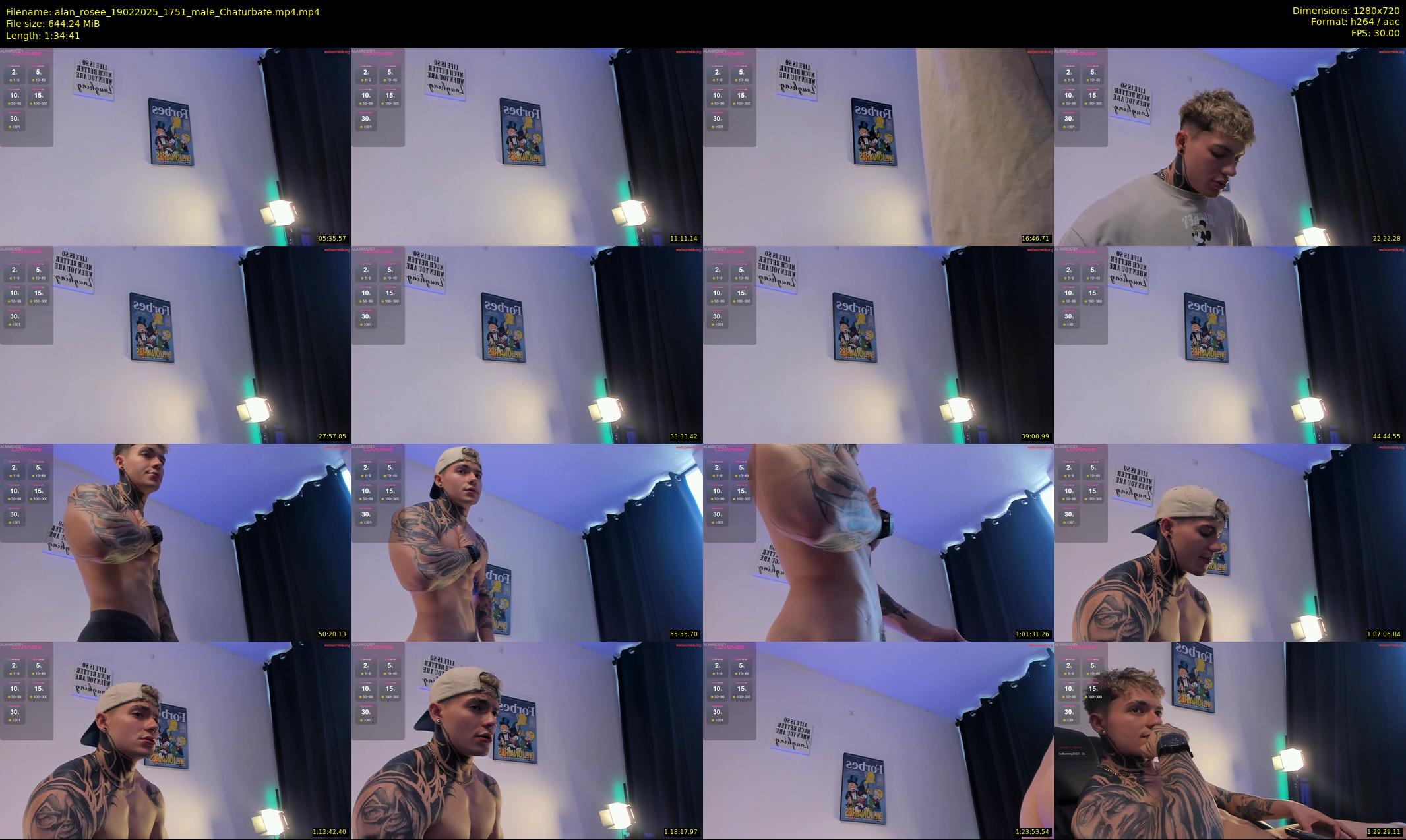 alan_rosee — 95 minute Chaturbate male cam show recording, 720p, Feb 19, 2025