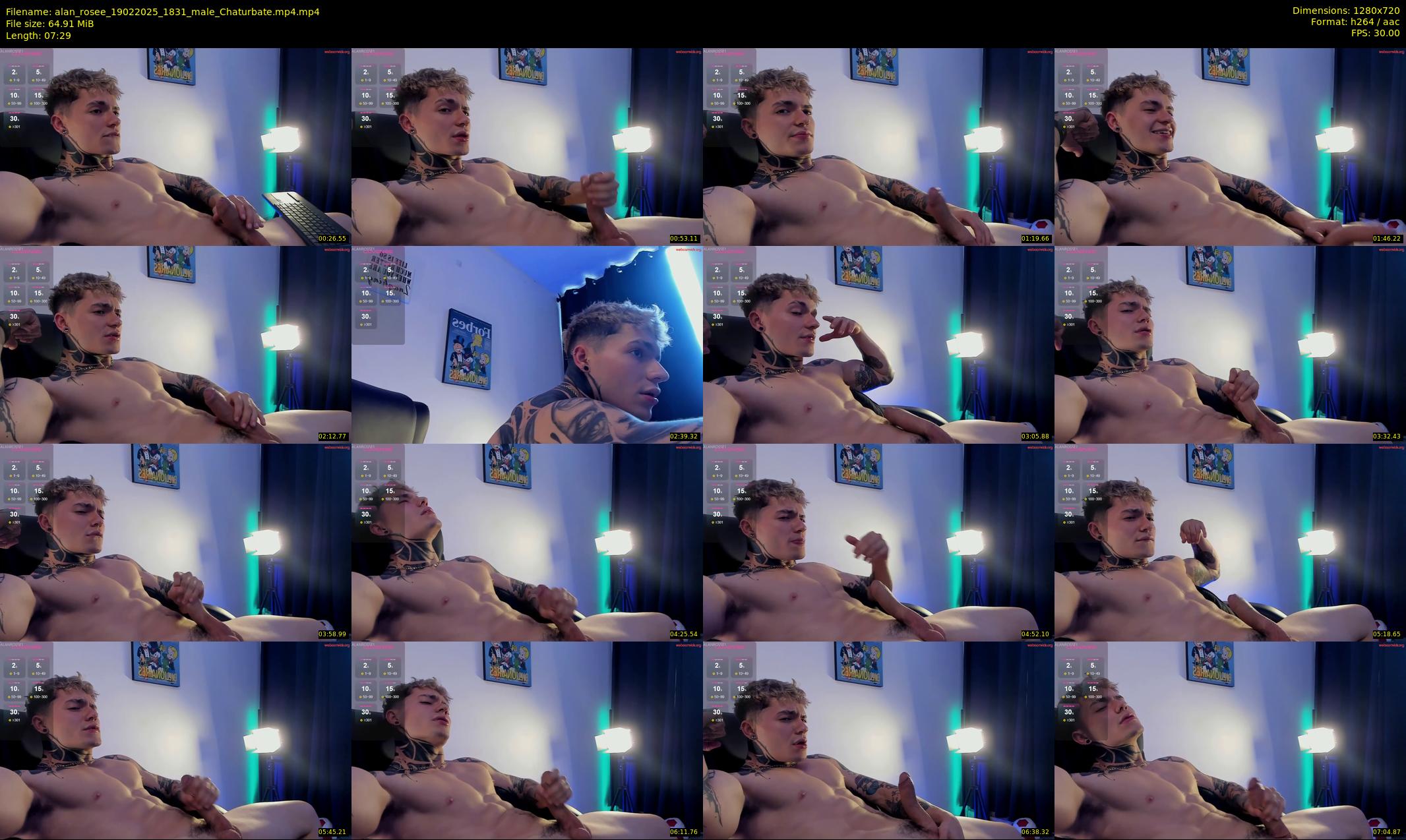 alan_rosee — 8 minute Chaturbate male cam show recording, 720p, Feb 19, 2025