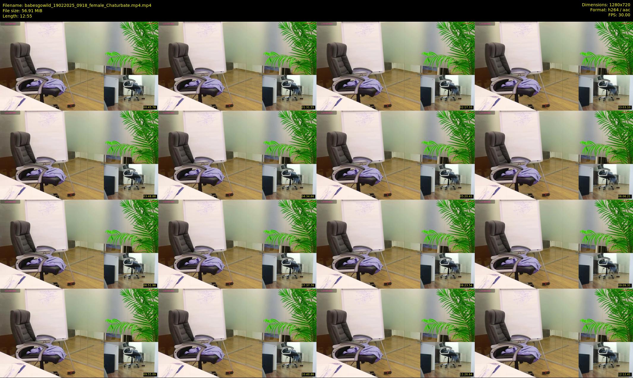 babesgowild — 13 minute Chaturbate couple cam show recording, 720p, Feb 19, 2025