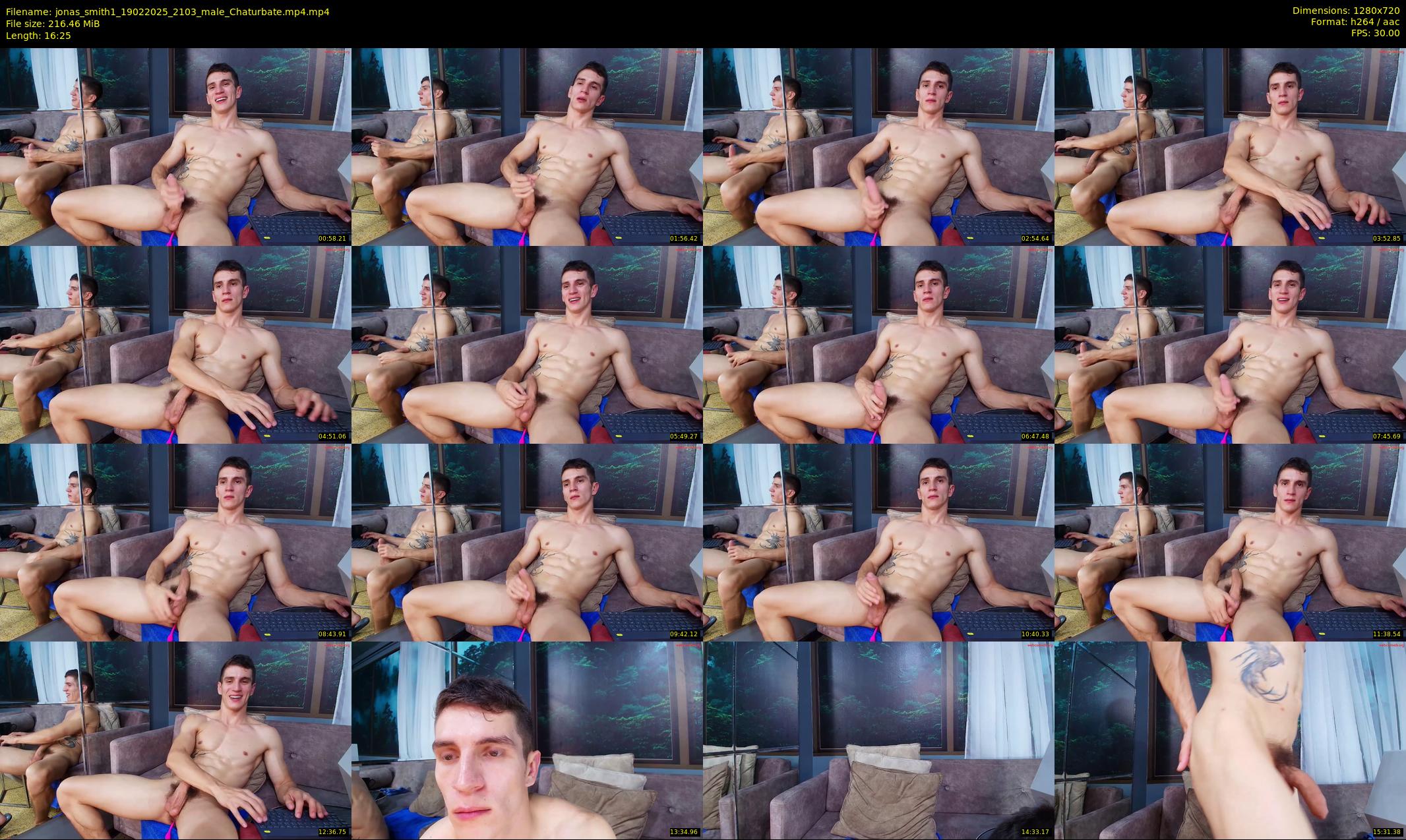jonas_smith1 — 17 minute Chaturbate male cam show recording, 720p, Feb 19, 2025