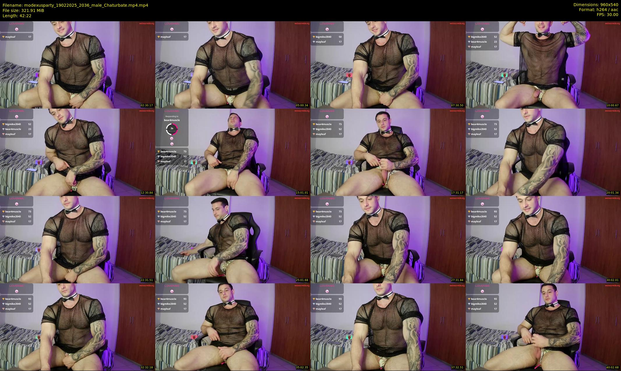 modexusparty — 43 minute Chaturbate male cam show recording, 480p, Feb 19, 2025