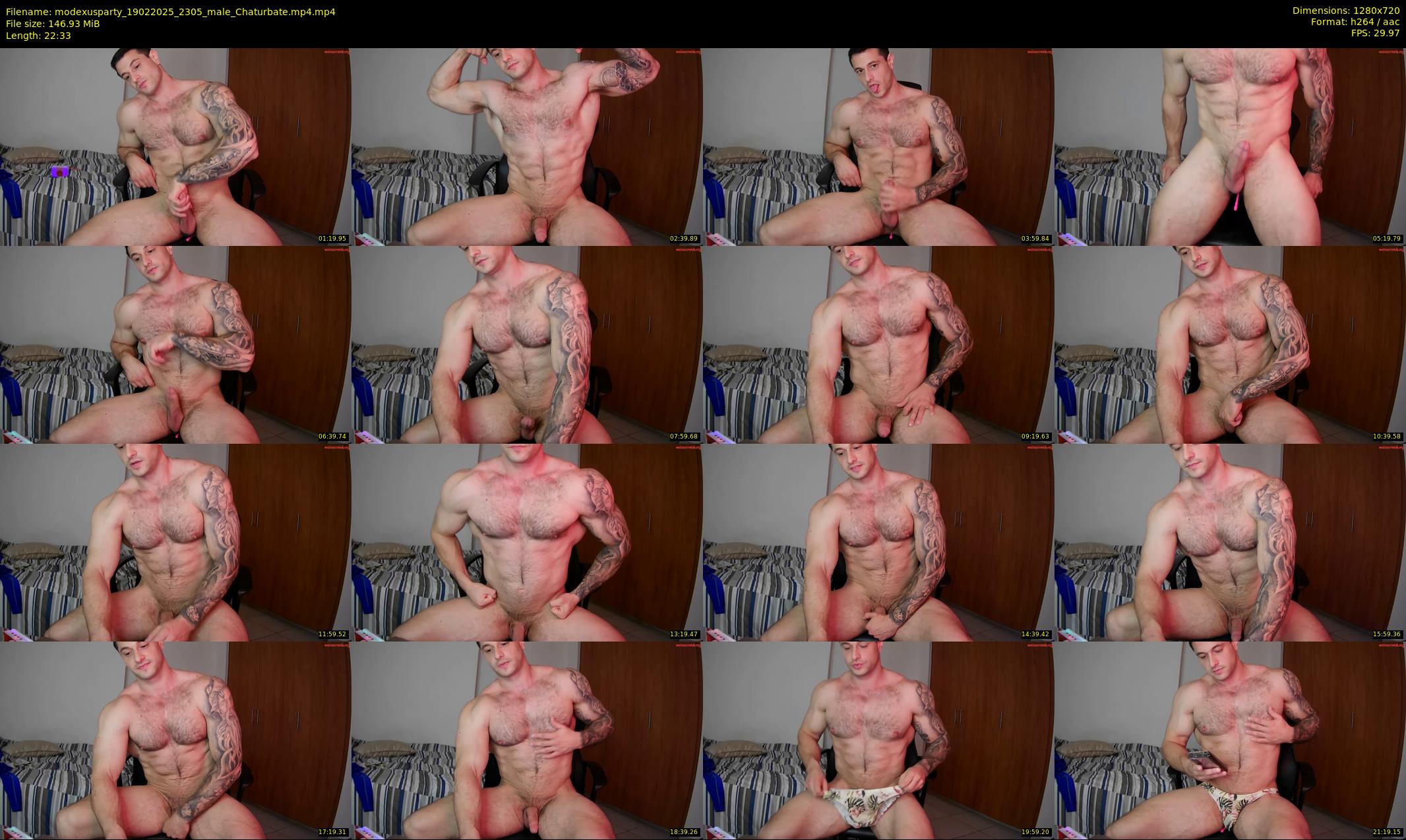 modexusparty — 23 minute Chaturbate male cam show recording, 720p, Feb 19, 2025