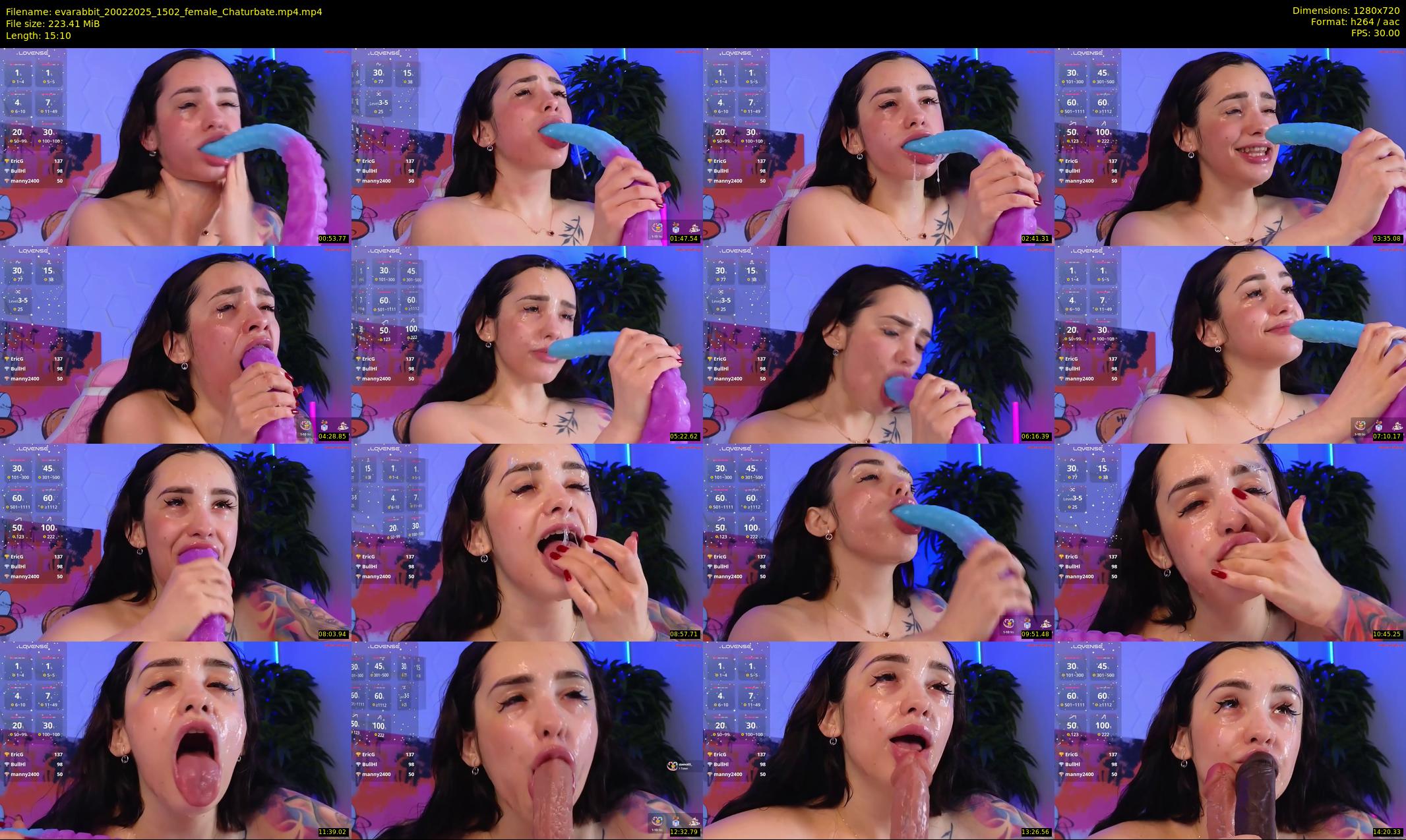evarabbit — 16 minute Chaturbate female cam show recording, 720p, Feb 20, 2025