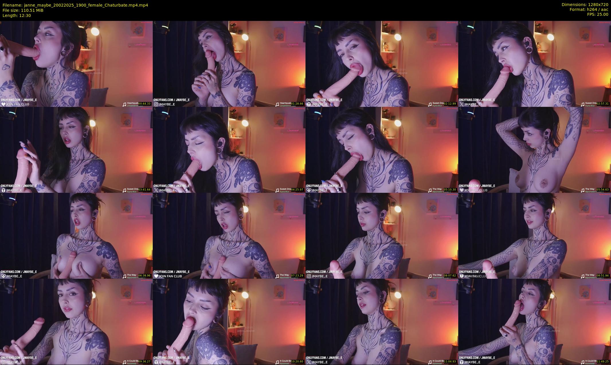 janne_maybe — 13 minute Chaturbate female cam show recording, 720p, Feb 20, 2025
