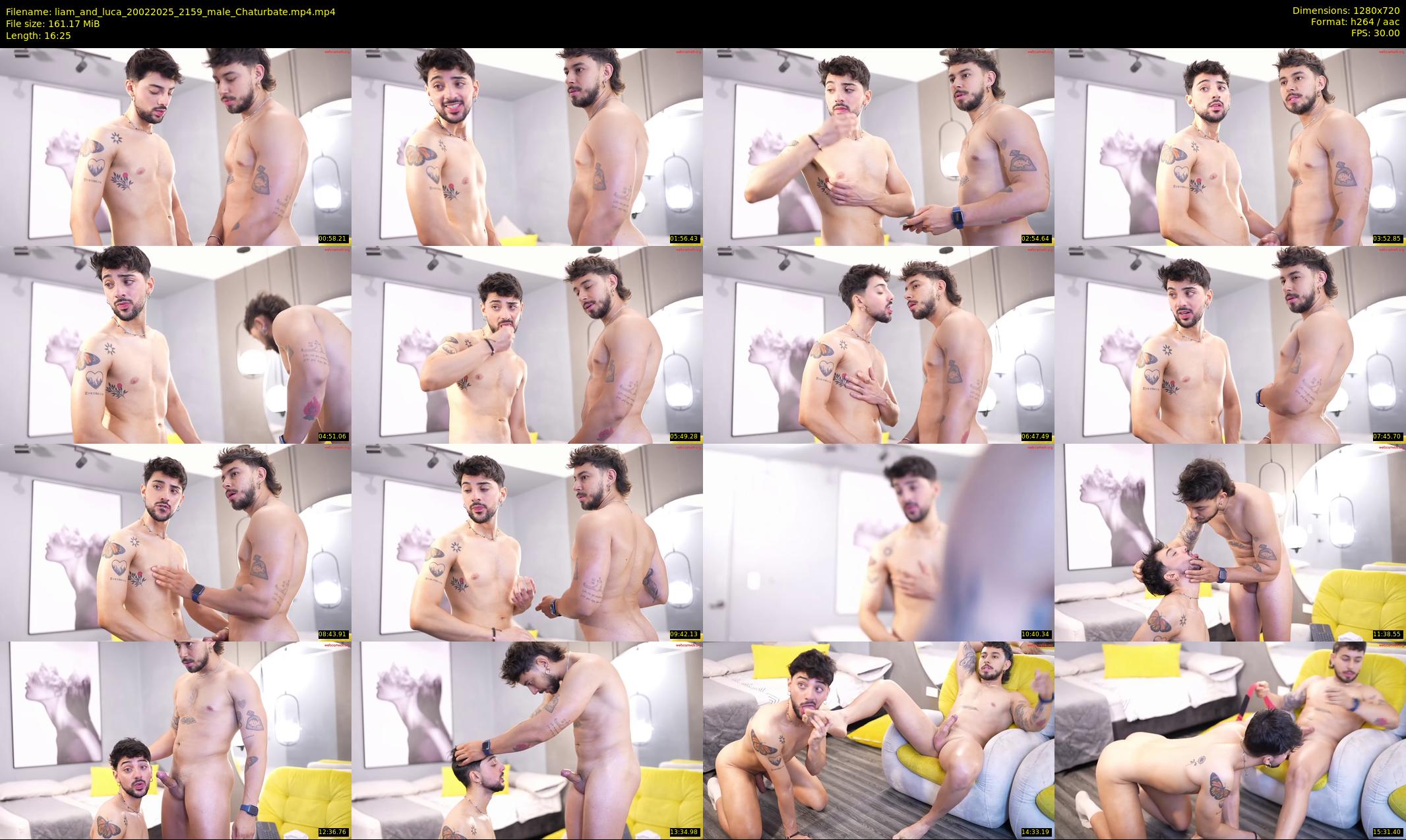 liam_and_luca — 17 minute Chaturbate male cam show recording, 720p, Feb 20, 2025