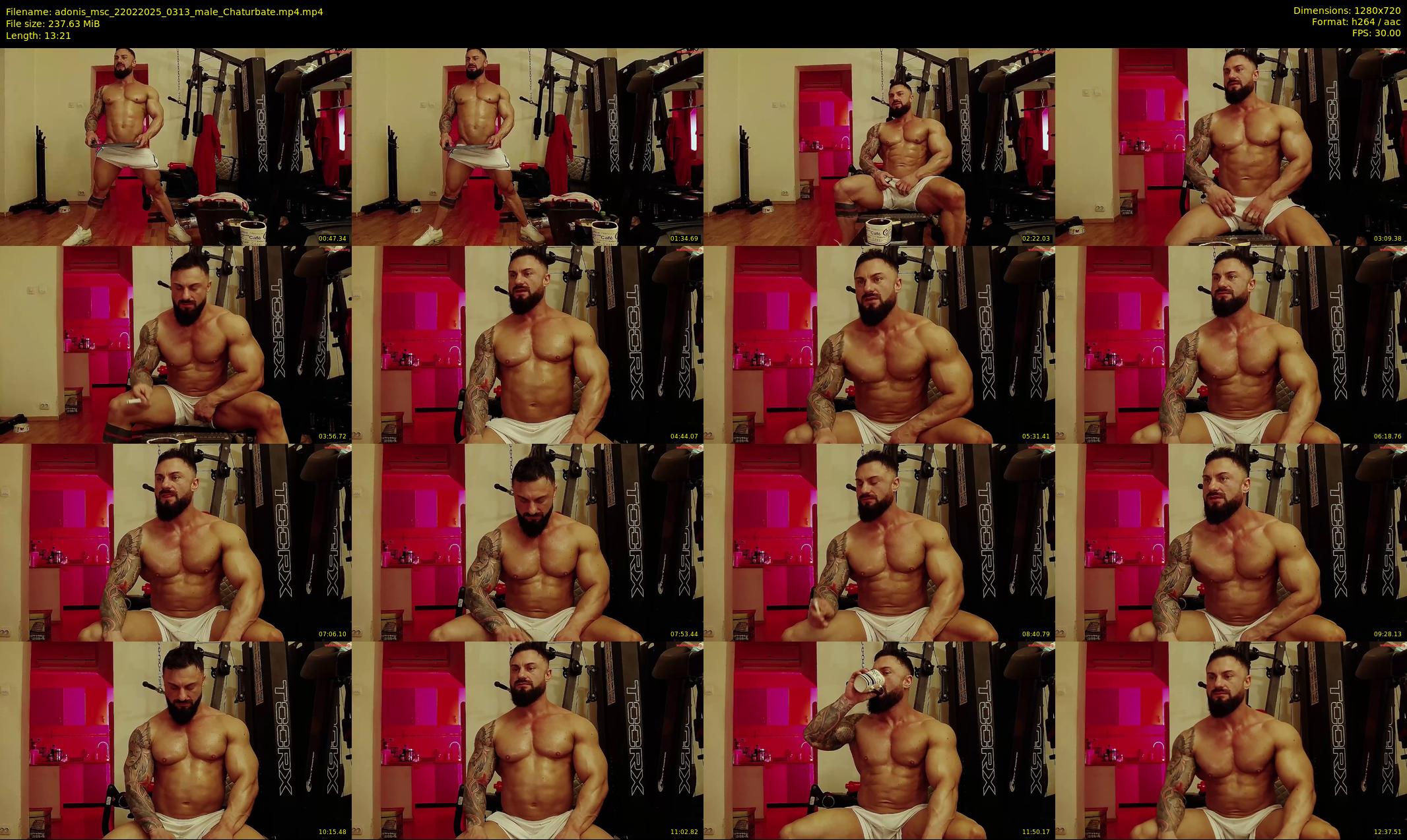 adonis_msc — 14 minute Chaturbate male cam show recording, 720p, Feb 22, 2025