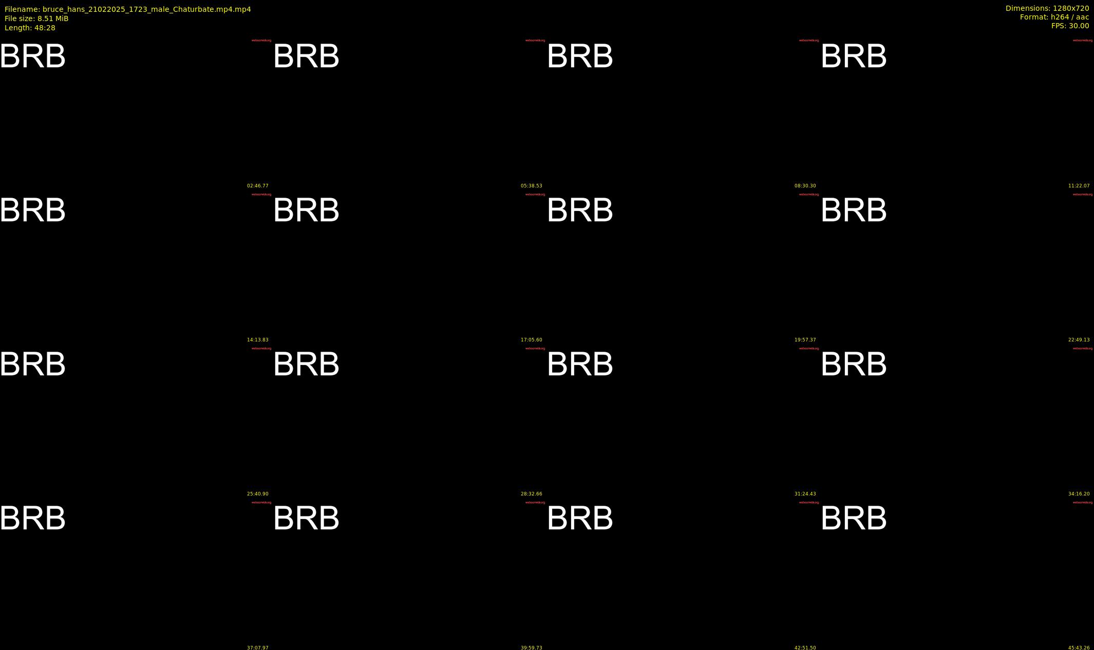 bruce_hans — 49 minute Chaturbate male cam show recording, 720p, Feb 21, 2025