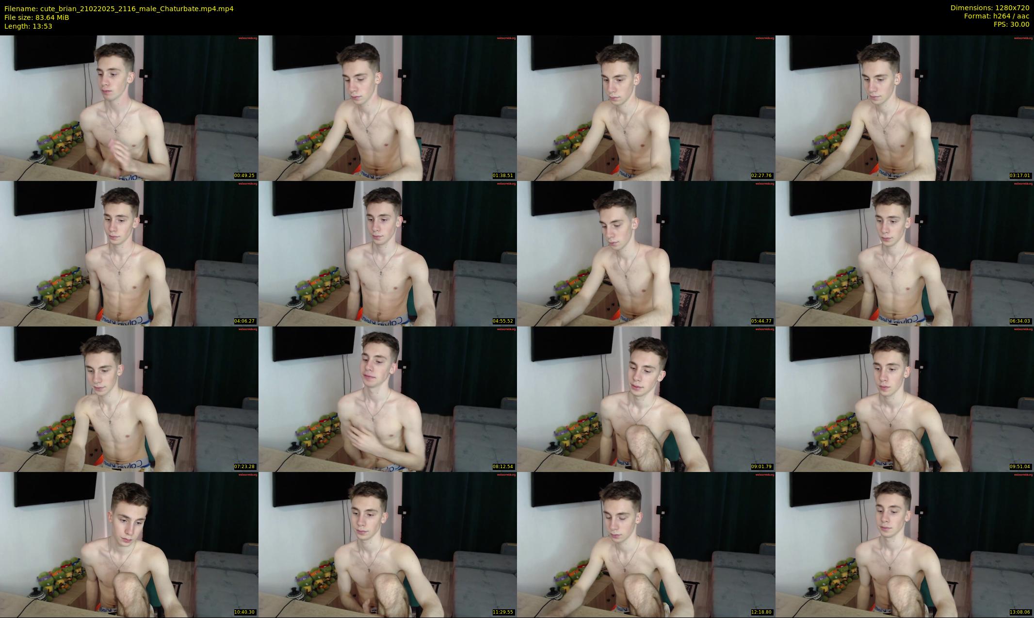 cute_brian — 14 minute Chaturbate male cam show recording, 720p, Feb 21, 2025