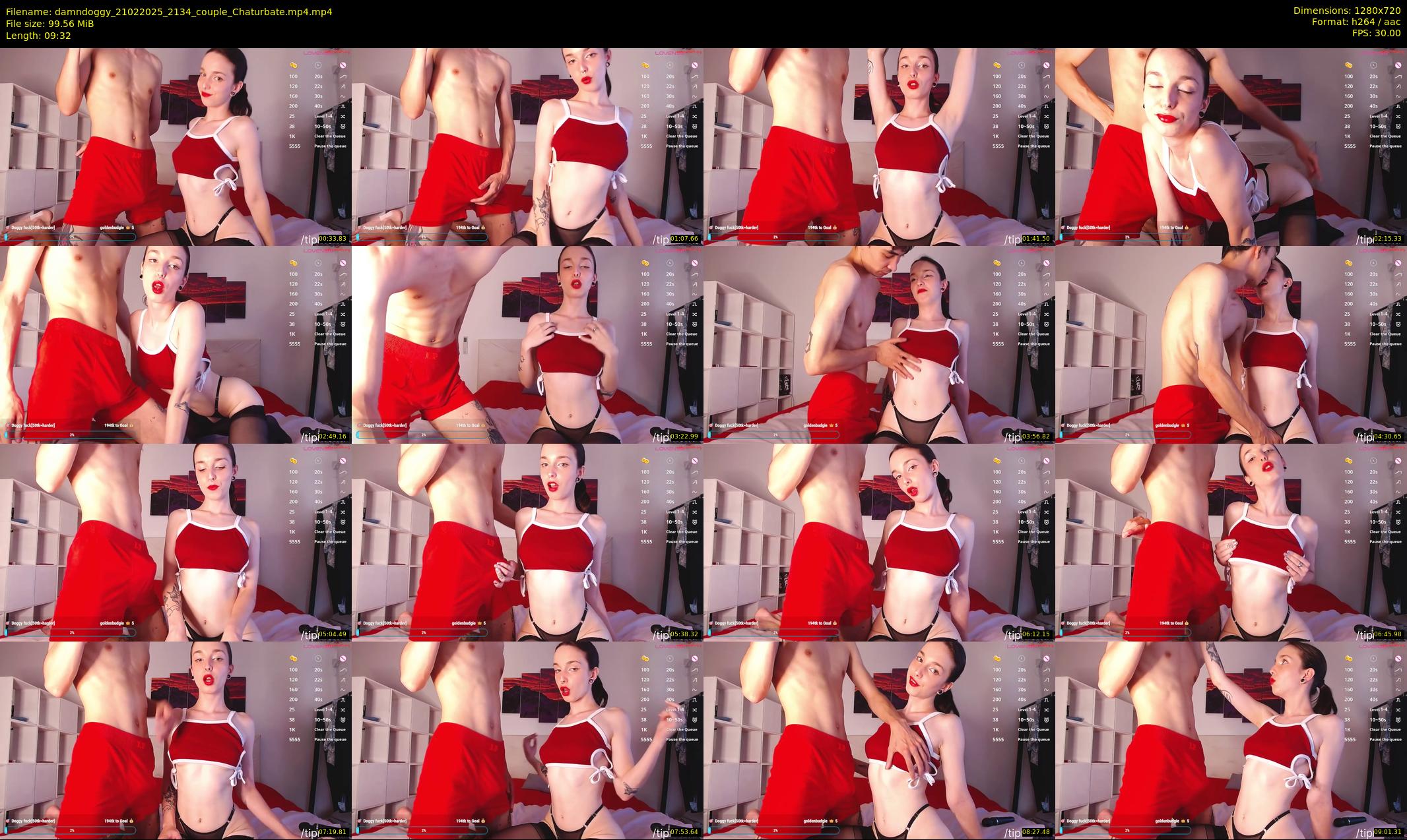 damndoggy — 10 minute Chaturbate couple cam show recording, 720p, Feb 21, 2025