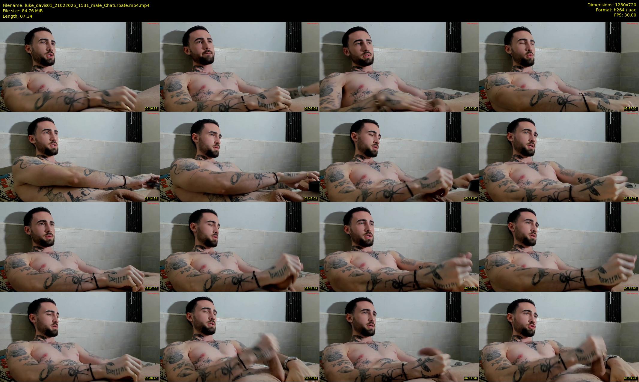luke_davis01 — 8 minute Chaturbate male cam show recording, 720p, Feb 21, 2025